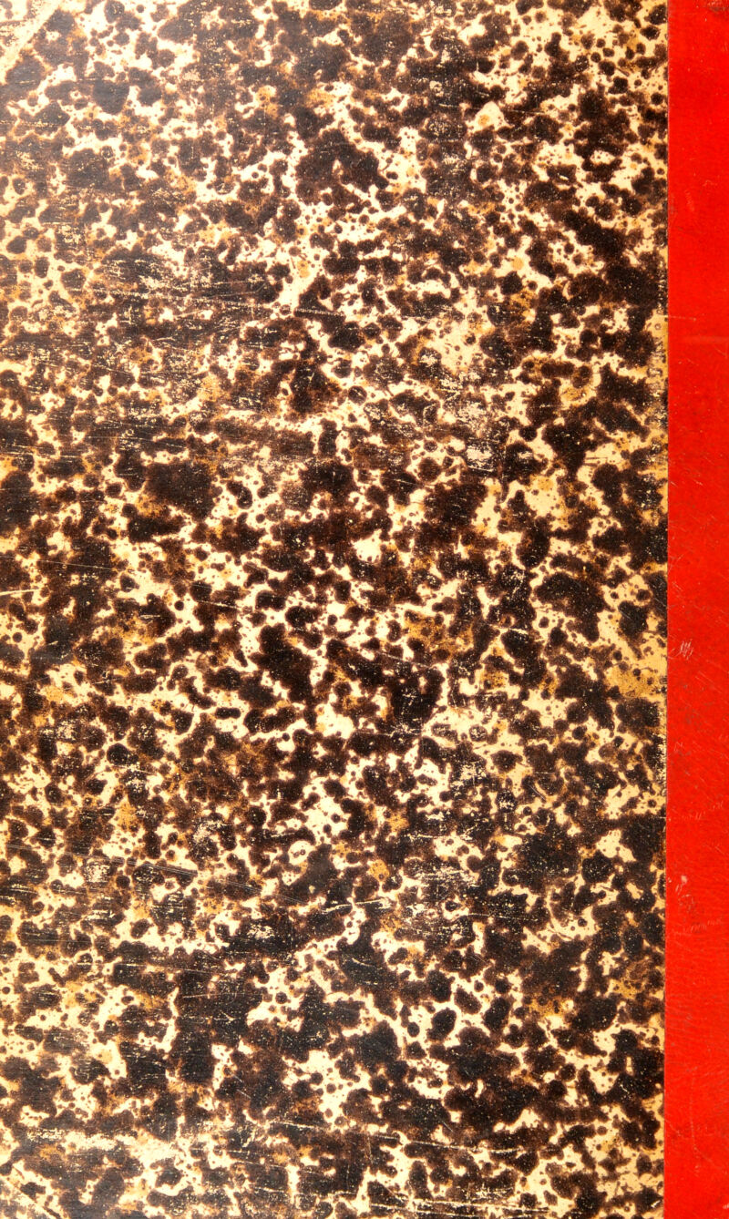 fllHT'^ ’-JHF^B ‘'1^ lnw-* —Y F r • ' -T Æ. ■ ^ • ■ ■•- ‘ \ ^. * * T ^ • >_ , i4^\^ / ■ >..*ibP*SI' '■’/ ’^l * >¥r • •J - ■ ^1^ ^W i jk>« '.' IB / - ' ». • J^** «ÏL 1. ÂW -H Ikv ■ ^ * VÛl ’ ■  ~ mi ^ y f ^ - ^ mL ' J L ’ • •• % î 4' 1 P -«^