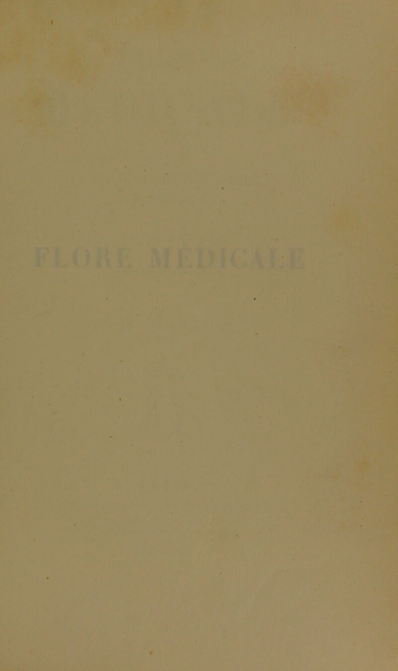 \ N » rt > ^ 'y « r-'f \ I ê • V. f * '