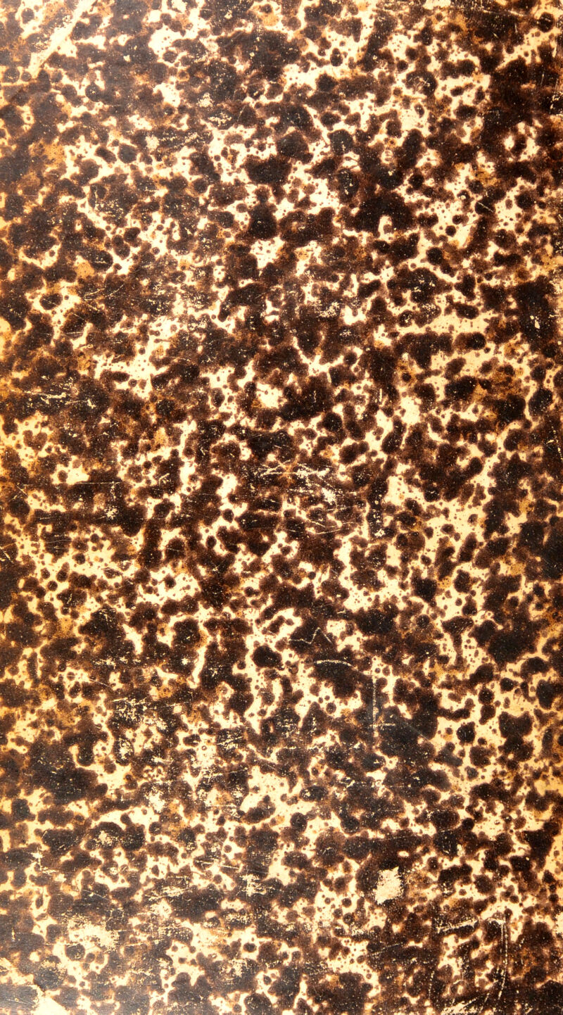 ■ y i.. «k 'i ■Ç! • 1 5l&2\, ^Rf * L 'JËÊr*8 ftJwyi # • ». i -TT. ^P>-« O 4j()P ^PnÇ J* r yii “