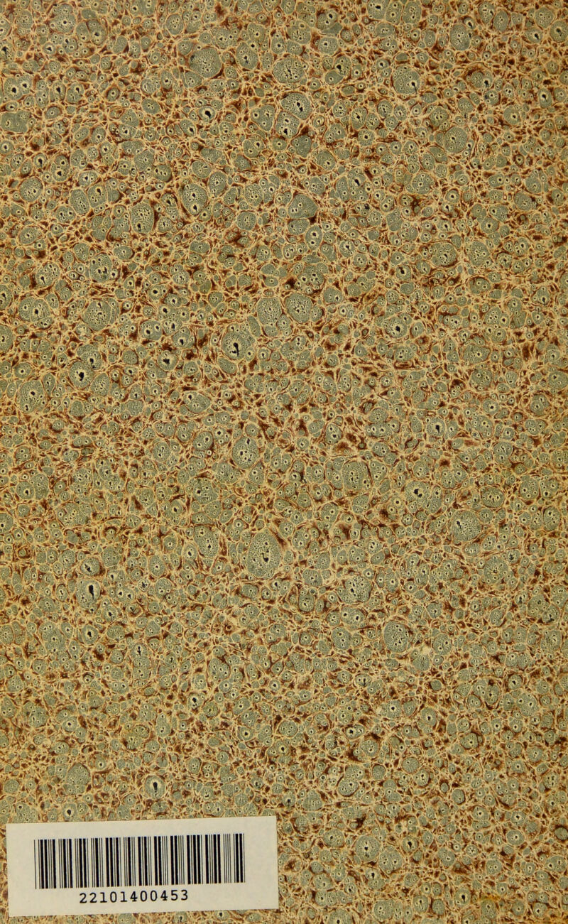 MOT t&m m -mm ‘''ï'ï'P' \v. - WAS 2$ >  -■ BmM mmi KV& -■ ~r \- «rfac* f»*»S «•^fe- *Lï, ‘i. à r.'V* < il* £ ,v<;;; Wmi '■ *■•’'/'■*• . 1 •^V -V^ ?*, ; . V 22101400453