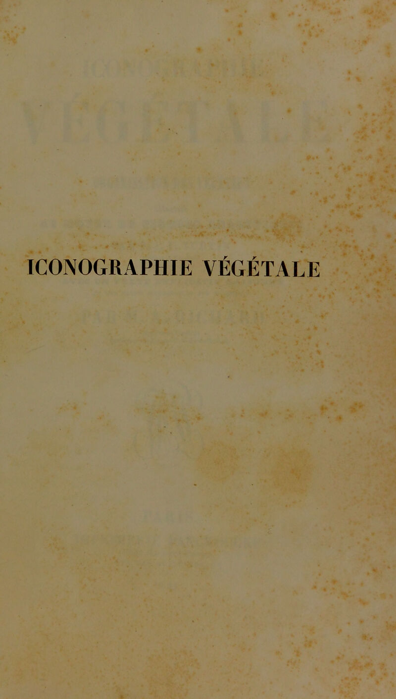 ICONOGRAPHIE VÉGÉTALE