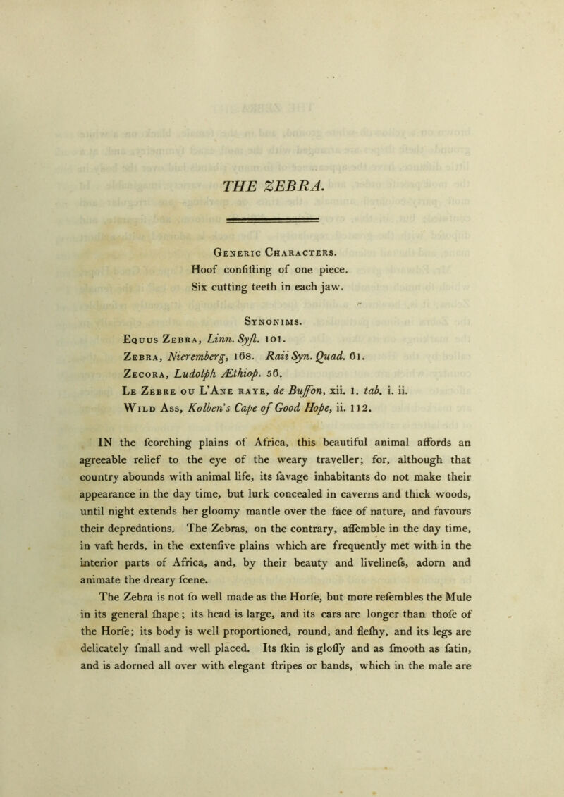 THE ZEBRA. Generic Characters. Hoof confitting of one piece. Six cutting teeth in each jaw. Synonims. Equus Zebra, Linn.SyJl. loi. Zebra, Nuremberg, 168. Raii Syn. Quad. 61. Zecora, Ludolph j^thiop. 56. Le Zebre ou L’Ane raye, de Buffon, xii. 1. tab, i. ii. Wild Ass, Kolbens Cape of Good Hope, ii. 112. IN the fcorching plains of Africa, this beautiful animal affords an agreeable relief to the eye of the weary traveller; for, although that country abounds with animal life, its favage inhabitants do not make their appearance in the day time, but lurk concealed in caverns and thick woods, until night extends her gloomy mantle over the face of nature, and favours their depredations. The Zebras, on the contrary, aflemble in the day time, in vail herds, in the extenlive plains which are frequently met with in the interior parts of Africa, and, by their beauty and livelinefs, adorn and animate the dreary fcene. The Zebra is not fo well made as the Horfe, but more relembles the Mule in its general fhape; its head is large, and its ears are longer than thofe of the Horfe; its body is well proportioned, round, and flefhy, and its legs are delicately fmall and well placed. Its fkin is glofly and as fmooth as latin, and is adorned all over with elegant llripes or bands, which in the male are