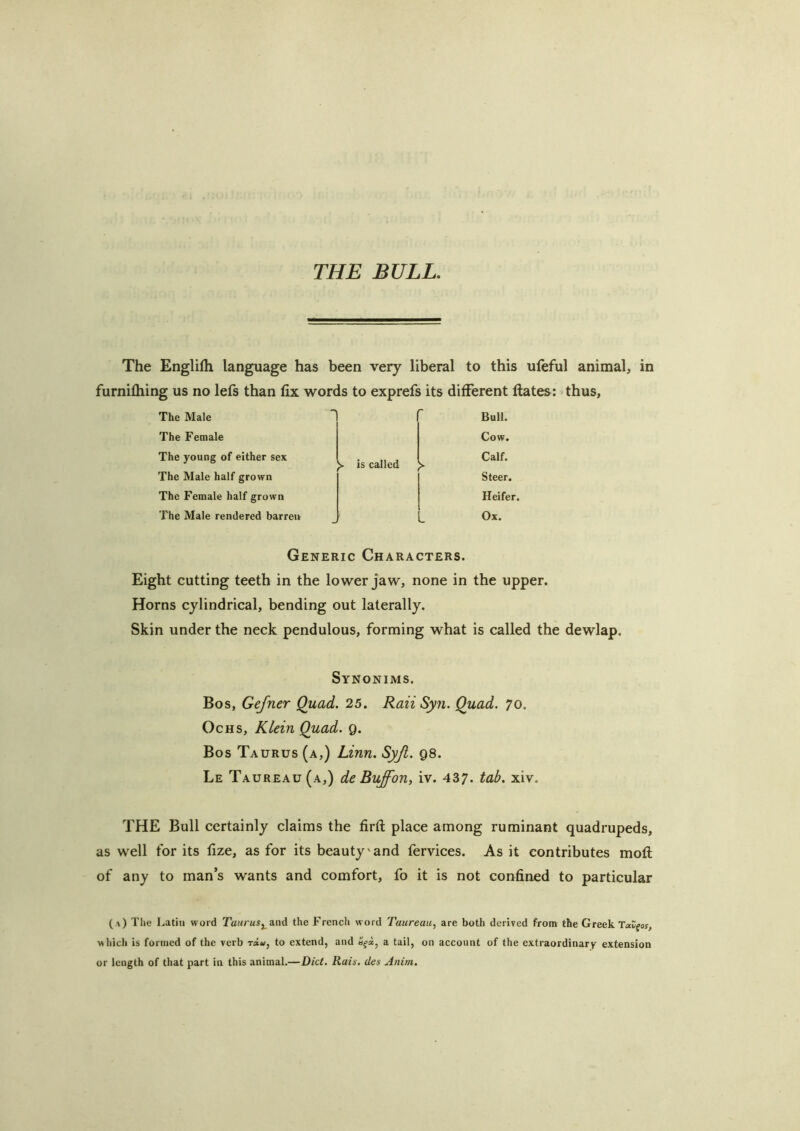 THE BULL. The Englifli language has been very liberal to this ufeful animal, in furnifliing us no lefs than fix words to exprefs its different Hates: thus, The Male Bull. The Female Cow. The young of either sex >■ is called Calf. The Male half grown Steer. The Female half grown Heifer. The Male rendered barren Ox. Generic Characters. Eight cutting teeth in the lower jaw, none in the upper. Horns cylindrical, bending out laterally. Skin under the neck pendulous, forming what is called the dewlap. Synonims. Bos, Gefner Quad. 25. Raii Syn. Quad. 70. Ochs, Klein Quad. 9. Bos Taurus (a,) Linn. Syji. 98. Le Taureau(a,) de Buff on, iv. 437. tab. xiv. THE Bull certainly claims the firft place among ruminant quadrupeds, as well for its fize, as for its beauty'and fervices. As it contributes mofi; of any to man’s wants and comfort, fo it is not confined to particular (a) The Latin word and the French word Taureau^ are both derived from the Greek TaZ^os, which is formed of the verb rau, to extend, and a tail, on account of the extraordinary extension or length of that part in this animal.—Diet. Rais, des Anim.