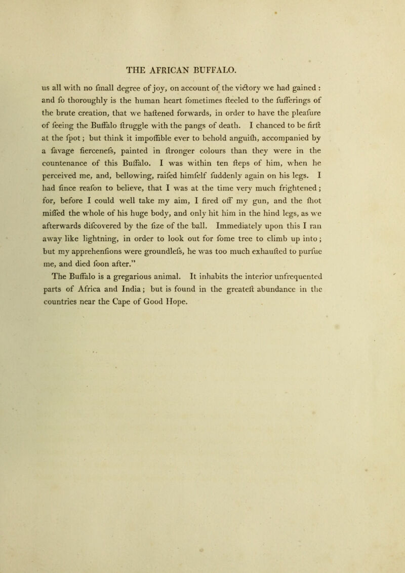 us all with no fmall degree of joy, on account of the vidlory we had gained : and fo thoroughly is the human heart fometimes Reeled to the fulferings of the brute creation, that we hatlened forwards, in order to have the pleafure of feeing the Buffalo Rruggle with the pangs of death. I chanced to be firft at the fpot; but think it impoflible ever to behold anguifh, accompanied by a favag6 fiercenefs, painted in flronger colours than they were in the countenance of this Buffalo. I was within ten Reps of him, when he perceived me, and, bellowing, raifed himfelf fuddenly again on his legs. I had fince reafon to believe, that I was at the time very much frightened; for, before I could well take my aim, I fired off my gun, and the Riot miffed the whole of his huge body, and only hit him in the hind legs, as we afterwards difcovered by the fize of the ball. Immediately upon this I ran away like lightning, in order to look out for fome tree to climb up into; but my apprehenfions were groundlefs, he was too much exhauRed to purfue me, and died foon after.” The Buffalo is a gregarious animal. It inhabits the interior unfrequented parts of Africa and India; but is found in the greateR abundance in the countries near the Cape of Good Hope.