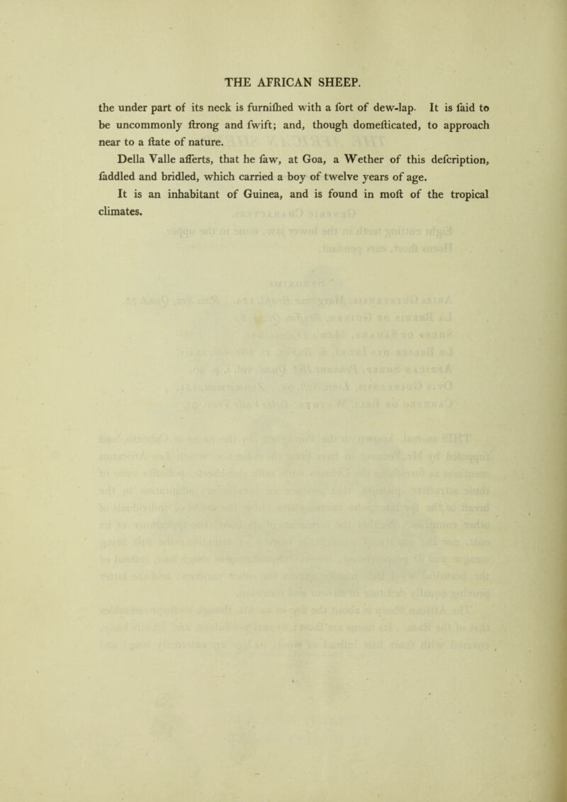 the under part of its neck is furnifhed with a fort of dew-lap. It is faid to be uncommonly llrong and fwift; and, though domefticated, to approach near to a Rate of nature. Della Valle aflerts, that he law, at Goa, a Wether of this defcription, faddled and bridled, which carried a boy of twelve years of age. It is an inhabitant of Guinea, and is found in moll of the tropical climates.