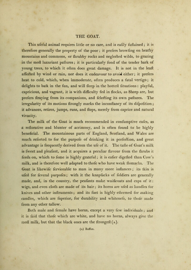 This ufeful animal requires little or no care, and is eafily fuftained; it is therefore generally the property of the poor; it prefers browling on heathy mountains and commons, or fhrubby rocks and negledled wilds, to grazing in the moft luxuriant paftures; it is particularly fond of the tender bark of young trees, to which it often does great damage. It is not in the lead: afFe(fled by wind or rain, nor does it endeavour to avoid either; it prefers heat to cold, which, when immoderate, often produces a fatal vertigo; it delights to balk in the fun, and will deep in the hotted; lituations: playful, capricious, and vagrant, it is with difficulty fed in flocks, as Sheep are, but prefers flraying from its companions, and fele<fling its own paflures. The irregularity of its motions llrongly marks the inconftancy of its difpolition; it advances, retires, jumps, runs, and flops, merely from caprice and natural vivacity. The milk of the Goat is much recommended in confumptive cafes, as a reflorative and blunter of acrimony, and is often found to be highly beneficial. The mountainous parts of England, Scotland, and Wales are much reforted to for the purpofe of drinking it in perfedlion, and great advantage is frequently derived from the ufc of it. The tafle of Goat’s milk is fweet and pleafant, and it acquires a peculiar flavour from the flirubs it feeds on, which to fome is highly grateful; it is eafier digefted than Cow’s milk, and is therefore well adapted to thofe who have weak flomachs. The Goat is likewile ferviceable to man in many more inflances ; its fkin is ufed for feveral purpofes; with it the knapfacks of foldiers are generally made, and, in the country, the peafants make waiflcoats and caps of it: wigs, and even cloth are made of its hair; its horns are ufed as handles for knives and other inflruments; and its fuet is highly efleemed for making candles, which are fuperior, for durability and whitenefs, to thofe made from any other tallow. Both male and female have horns, except a very few individuals ; and it is faid that thofe which are white, and have no horns, always give the mofl milk, but that the black ones are the flrongefl (a).