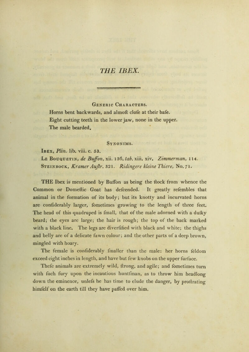 THE IBEX. Generic Characters. Horns bent backwards, and almoft clofe at their bafe. Eight cutting teeth in the lower jaw, none in the upper. The male bearded, Synonims. Ibex, Plin. lib. viii. c. 53. Le Bouquetin, de Buffon, xii. 136. tab. xiii. xiv, Zimmerman, ll4. Steinbock, Kramer Aujir. 321. Ridingere kleine Thiere, No. 71. THE Ibex is mentioned by BufFon as being the flock from whence the Common or Domeflic Goat has defcended. It greatly refembles that animal in the formation of its body; but its knotty and incurvated horns are confiderably larger, fometimes growing to the length of three feet. The head of this quadruped is fmall, that of the male adorned with a dutky beard; the eyes are large; the hair is rough; the top of the back marked with a black line. The legs are divertified with black and white; the thighs and belly are of a delicate fawn colour; and the other parts of a deep brown, mingled with hoary. The female is confiderably fmaller than the male: her horns feldom exceed eight inches in length, and have but few knobs on the upper furface. Thefe animals arc extremely wild, flrong, and agile; and fometimes turn with fuch fury upon the incautious huntfman, as to throw him headlong down the eminence, unlefs he has time to elude the danger, by proflrating himfelf on the earth till they have pafled over him.