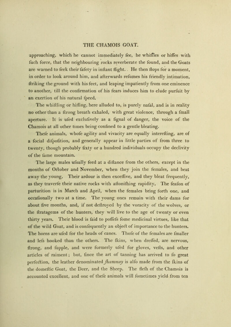 approaching, which he cannot immediately fee, he whifTles or hifles with fuch force, that the neighbouring rocks reverberate the found, and the Goats are warned to feek their fafety in inftant flight. . He then flops for a moment, in order to look around him, and afterwards refumes his friendly intimation, ftriking the ground with his feet, and leaping impatiently from one eminence to another, till the confirmation of his fears induces him to elude purfuit by an exertion of his natural Ipeed. The whiftling or hilfing, here alluded to, is purely nafal, and is in reality no other than a ftrong breath exhaled, with great violence, through a fmall aperture. It is ufed exclufively as a fignal of danger, the voice of the Chamois at all other times being confined to a gentle bleating. Thefe animals, whofe agility and vivacity are equally interefting, are of a focial difpofition, and generally appear in little parties of from three to twenty, though probably fixty or a hundred individuals occupy the declivity of the fame mountain. The large males ufually feed at a diftance from the others, except in the months of Odlober and November, when they join the females, and beat away the young. Their ardour is then exceflive, and they bleat frequently, as they traverfe their native rocks with aftonifhing rapidity. The feafon of parturition is in March and April, when the females bring forth one, and occaflonally two at a time. The young ones remain with their dams for about five months, and, if not deftroyed by the voracity of the wolves, or the ftratagems of the hunters, they will live to the age of twenty or even thirty years. Their blood is faid to polfefs fome medicinal virtues, like that of the wild Goat, and is confequently an objedl of importance to the hunters. The horns are ufed for the heads of canes. Thofe of the females are fmaller and lefs hooked than the others. The Ikins, when drefl’ed, are nervous, ftrong, and fupple, and were formerly ufed for gloves, vefts, and other articles of raiment; but, fince the art of tanning has arrived to fo great perfedlion, the leather denominated Jhammoy is alfo made from the fkins of the dorneftic Goat, the Deer, and the Sheep. The flefh of the Chamois is accounted excellent, and one of thefe animals will fometimes yield.from ten