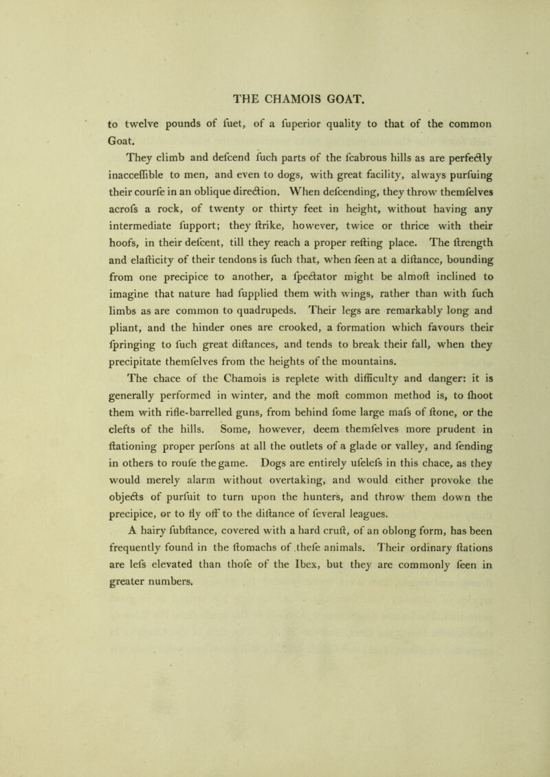 to twelve pounds of fuet, of a fuperior quality to that of the common Goat. They climb and defcend fuch parts of the fcabrous hills as are perfedly inacceflible to men, and even to dogs, with great facility, always purfuing their courfe in an oblique direction. When defcending, they throw themfelves acrofs a rock, of twenty or thirty feet in height, without having any intermediate fupport; they ftrike, however, twice or thrice with their hoofs, in their defcent, till they reach a proper refting place. The ftrength and elafticity of their tendons is fuch that, when feen at a diftance, bounding from one precipice to another, a fpectator might be almoft inclined to imagine that nature had fupplied them with wings, rather than with fuch limbs as are common to quadrupeds. Their legs are remarkably long and pliant, and the hinder ones are crooked, a formation which favours their Ipringing to fuch great diftances, and tends to break their fall, when they precipitate themfelves from the heights of the mountains. The chace of the Chamois is replete with difficulty and danger: it is generally performed in winter, and the moft common method is, to fhoot them with rifle-barrelled guns, from behind fome large mafs of ftone, or the clefts of the hills. Some, however, deem themfelves more prudent in ftationing proper perfons at all the outlets of a glade or valley, and fending in others to roufe the game. Dogs are entirely ufelefs in this chace, as they would merely alarm without overtaking, and would either provoke the objedls of purfuit to turn upon the hunters, and throw them down the precipice, or to fiy off to the diftance of feveral leagues. A hairy fubftance, covered with a hard cruft, of an oblong form, has been frequently found in the ftomachs of thefe animals. Their ordinary ftations are lefs elevated than thofe of the Ibex, but they are commonly feen in greater numbers.