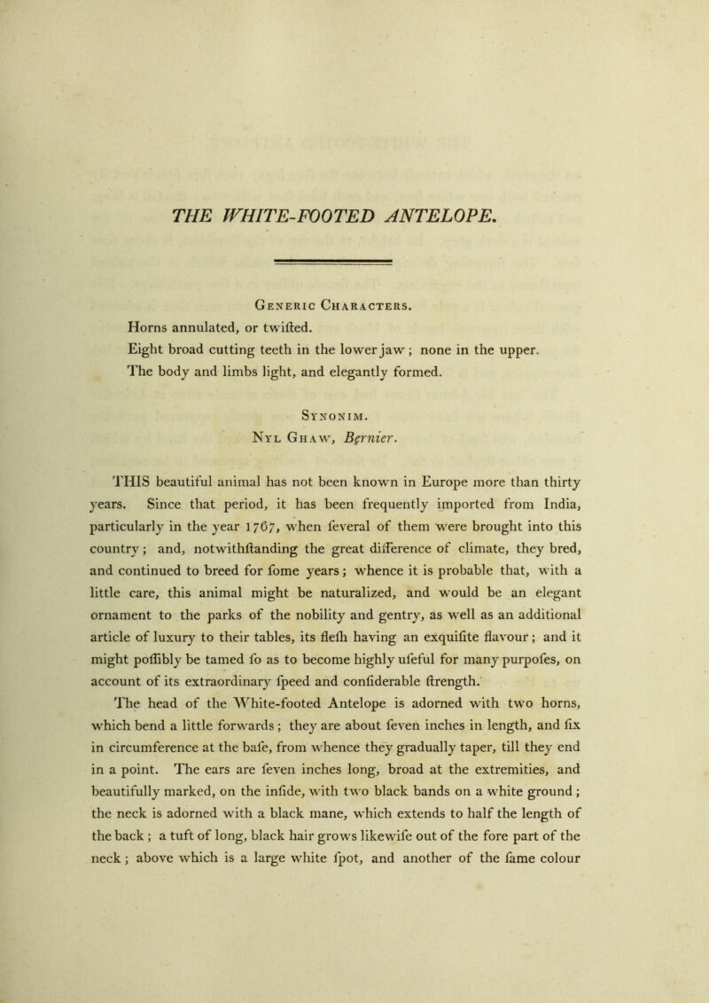 THE WHITE-FOOTED ANTELOPE. Generic Characters. Horns annulated, or twifled. Eight broad cutting teeth in the lower jaw; none in the upper. The body and limbs light, and elegantly formed. Synonim. Nyl Ghaw, B§rnier. THIS beautiful animal has not been known in Europe more than thirty years. Since that period, it has been frequently imported from India, particularly in the year 1767, when feveral of them were brought into this country; and, notwithftanding the great difference of climate, they bred, and continued to breed for fome years; whence it is probable that, with a little care, this animal might be naturalized, and would be an elegant ornament to the parks of the nobility and gentry, as well as an additional article of luxury to their tables, its flefh having an exquifite flavour; and it might poliibly be tamed fo as to become highly ufeful for many purpofes, on account of its extraordinary fpeed and conflderable ftrength. The head of the White-footed Antelope is adorned with two horns, which bend a little forwards ; they are about feven inches in length, and flx in circumference at the bafe, from whence th^ gradually taper, till they end in a point. The ears are feven inches long, broad at the extremities, and beautifully marked, on the infide, with tv o black bands on a white ground ; the neck is adorned with a black mane, which extends to half the length of the back ; a tuft of long, black hair grows likewife out of the fore part of the neck; above which is a large white fpot, and another of the fame colour