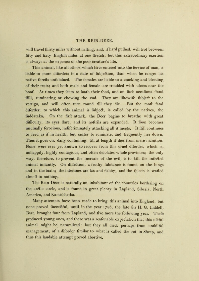 will travel thirty miles without halting, and, if hard pulhed, will trot between fifty and fixty Englifh miles at one firetch; but this extraordinary exertion is always at the expence of the poor creature’s life. This animal, like all others which have entered into the fervice of man, is liable to more diforders in a Rate of fubje6lion, than when he ranges his native forefis unfubdued. The females are liable to a cracking and bleeding of their teats; and both male and female are troubled with ulcers near the hoof. At times they feem to loath their food, and on fuch occafions ftand ftill, ruminating or chewing the cud. They are likewife fubjed: to the vertigo, and will often turn round till they die. But the moft fatal diforder, to which this animal is fubjed, is called by the natives, the fuddataka. On the firfl: attack, the Deer begins to breathe with great difficulty, its eyes flare, and its noflrils are expanded. It foon becomes unufually ferocious, indifcriminately attacking all it meets. It Hill continues to feed as if in health, but ceafes to ruminate, and frequently lies down. Thus it goes on, daily confuming, till at length it dies from mere inanition. None were ever yet known to recover from this cruel diforder, which is, unhappily, highly contagious, and often defolates whole provinces; the only way, therefore, to prevent the increafe of the evil, is to kill the infeded animal inflantly. On difiedion, a frothy fubflance is found on the lungs and in the brain; the inteflines are lax and flabby; and the fpleen is wafted almoft to nothing. The Rein-Deer is naturally an inhabitant of the countries bordering on the ardic circle, and is found in great plenty in Lapland, Siberia, North America, and Kamtfchatka. Many attempts have been made to bring this animal into England, but none proved fuccefsful, until in the year 1786, the late Sir H. G. Liddell, Bart, brought four from Lapland, and five more the following year. Thefe produced young ones, and there was a reafonable expedation that this ufeful animal might be naturalized: but they all died, perhaps from unfkilful management, of a diforder fimilar to what is called the rot in Sheep, and thus this laudable attempt proved abortive.