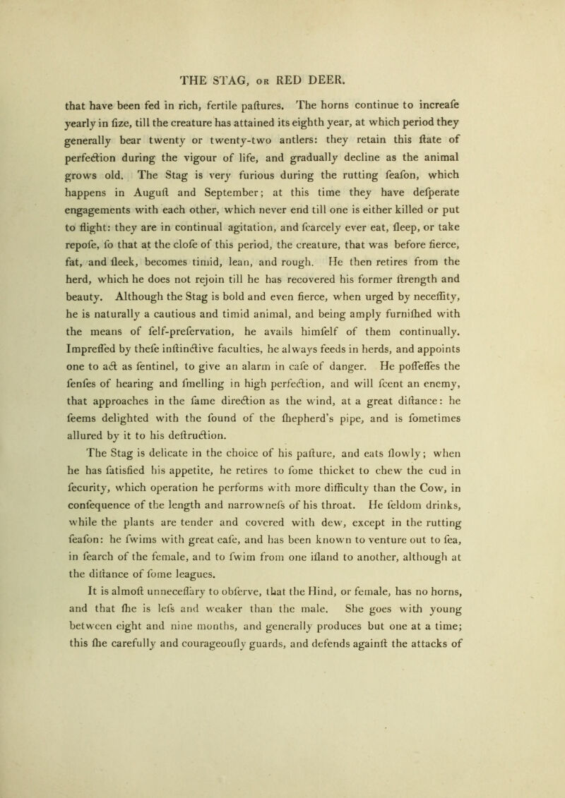 that have been fed in rich, fertile paftures. The horns continue to increafe yearly in fize, till the creature has attained its eighth year, at which period they generally bear twenty or twenty-two antlers: they retain this Rate of perfection during the vigour of life, and gradually decline as the animal grows old. The Stag is very furious during the rutting feafon, which happens in Augutl and September; at this time they have defperate engagements with each other, which never end till one is either killed or put to flight: they are in continual agitation, and fcarcely ever eat, fleep, or take repofe, fo that at the clofe of this period, the creature, that was before fierce, fat, and fleek, becomes timid, lean, and rough. He then retires from the herd, which he does not rejoin till he has recovered his former ftrength and beauty. Although the Stag is bold and even fierce, when urged by neceflity, he is naturally a cautious and timid animal, and being amply furnilhed with the means of felf-prefervation, he avails himfelf of them continually. ImpreiTed by thefe inftindive faculties, he always feeds in herds, and appoints one to a6l as fentinel, to give an alarm in cafe of danger. He polTelTes the fenfes of hearing and fmelling in high perfection, and will fcent an enemy, that approaches in the fame direction as the wind, at a great diftance: he feems delighted with the found of the fhepherd’s pipe, and is fometimes allured by it to his deftruction. The Stag is delicate in the choice of his pafture, and eats flowly; when he has fatisfied his appetite, he retires to fome thicket to chew the cud in fecurity, which operation he performs with more difficulty than the Cow, in confequence of the length and narrownefs of his throat. He feldom drinks, while the plants are tender and covered with dew, except in the rutting feafon: he fwims with great eafe, and has been known to venture out to fea, in fearch of the female, and to fwim from one ifland to another, although at the diflance of fome leagues. It is almofi; unneceflary to obferve, that the Hind, or female, has no horns, and that the is lefs and w^eaker than the male. She goes with young between eight and nine months, and generally produces but one at a time; this file carefully and courageoufly guards, and defends againfl; the attacks of