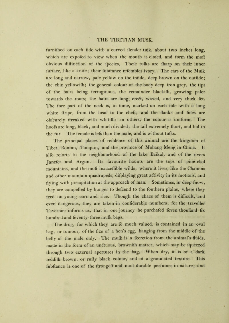 furnifhed on each fide with a curved flender tufk, about two inches long, which are expofed to view when the mouth is clofed, and form the moft obvious diftinclion of the fpecies. Thefe tufks are fliarp on their inner furface, like a knife; their fubftance refembles ivorj. The ears of the Mufk are long and narrow, pale yellow on the infide, deep brown on the outfide; the chin yellowifli; the general colour of the body deep iron grey, the tips of the hairs being ferruginous, the remainder blackifh, growing paler towards the roots; the hairs are long, eredl, waved, and very thick fet. The fore part of the neck is, in fome, marked on each fide with a long white flripe, from the head to the cheft; and the flanks and fides are obfcurely flreaked with whitifh: in others, the colour is uniform. The hoofs are long, black, and much divided; the tail extremely fhort, and hid in the fur. The female is lefs than the male, and is without tufks. The principal places of refidence of this animal are the kingdom of Tibet, Bontan, Tonquin, and the province of Mohang Meng in China. It alfo reforts to the neighbourhood of the lake Baikal, and of the rivers Janefea and Argun. Its favourite haunts are the tops of pine-clad mountains, and the mofl inacceffible wilds; where it lives, like the Chamois and other mountain quadrupeds, difplaying great adivity in its motions, and flying with precipitation at the approach of man. Sometimes, in deep fnow, they are compelled by hunger to defcend to the fouthern plains, where they feed on young corn and rice. Though the chace of them is difficult, and even dangerous, they are taken in confiderable numbers; for the traveller Tavernier informs us, that in one journey he purchafed feven thoufand fix hundred and feventy-three muflc bags. The drug, for which they are fo much valued, is contained in an oval bag, or tumour, of the fize of a hen’s egg, hanging from the middle of the belly of the male only. The mulk is a fecretion from the animal’s fluids, made in the form of an unduous, brownifh matter, which may be fqueezed through two external apertures in the bag. When dry, it is of a'dark reddifh brown, or rufty black colour, and of a granulated texture. This fubftance is one of the ftrongeft and moft durable perfumes in nature; and