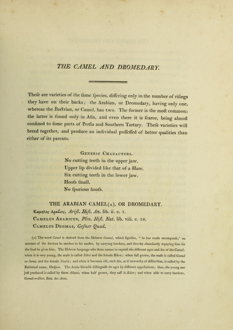 THE CAMEL AND DROMEDARY. Thefe are varieties of the liime fpecies, differing onlj in the number of rilings they have on their backs; the Arabian, or Dromedary, having only one, whereas the Badfrian, or Camel, has two. The former is the moft common: the latter is found only in Alia, and even there it is fcarce, being almofl confined to fome parts of Perfia and Southern Tartary. Thefe varieties will breed together, and produce an individual poflelfed of better qualities than either of its parents. Generic Characters. No cutting teeth in the upper jaw. Upper lip divided like that of a Hare. Six cutting teeth in the lower jaw. Hoofs fmall. No fpurious hoofs. THE ARABIAN CAMEL(a), OR DROMEDARY. Kafj,y]Xog A^otCtog, Arijl, Hijl, An. lib. ii. c. 1. Camelus Arabicus, Plin. Hijl. Nat. lib. viii. c. 18. Camelus Dromas, Gefner Quad, (a) The word Camel is derived from the Hebrew Gatnal, which fignlfies, “ he has made recompenfe,” on account of the fervices he renders to his mafter, by carrying burdens, and thereby abundantly repaying him for the food he gives him. The Hebrew language ufes three names to exprefs the different ages and fex of the Camel: when it is very young, the male is called Biker and the female Bikra; when full grown, the male is called Gumal or Jama, and the female Naaka; and when it becomes old, each fex, as if unworthy of diftindfion, is called by the Rabinical name, Medjam. The Arabs likewife diftinguifh its ages by different appellations} thus, the young one juft produced is called by them Alkaut; when half grown, they call it Biker; and when able to carry burdens, Gamal.—Diet, Rais, des Anim.