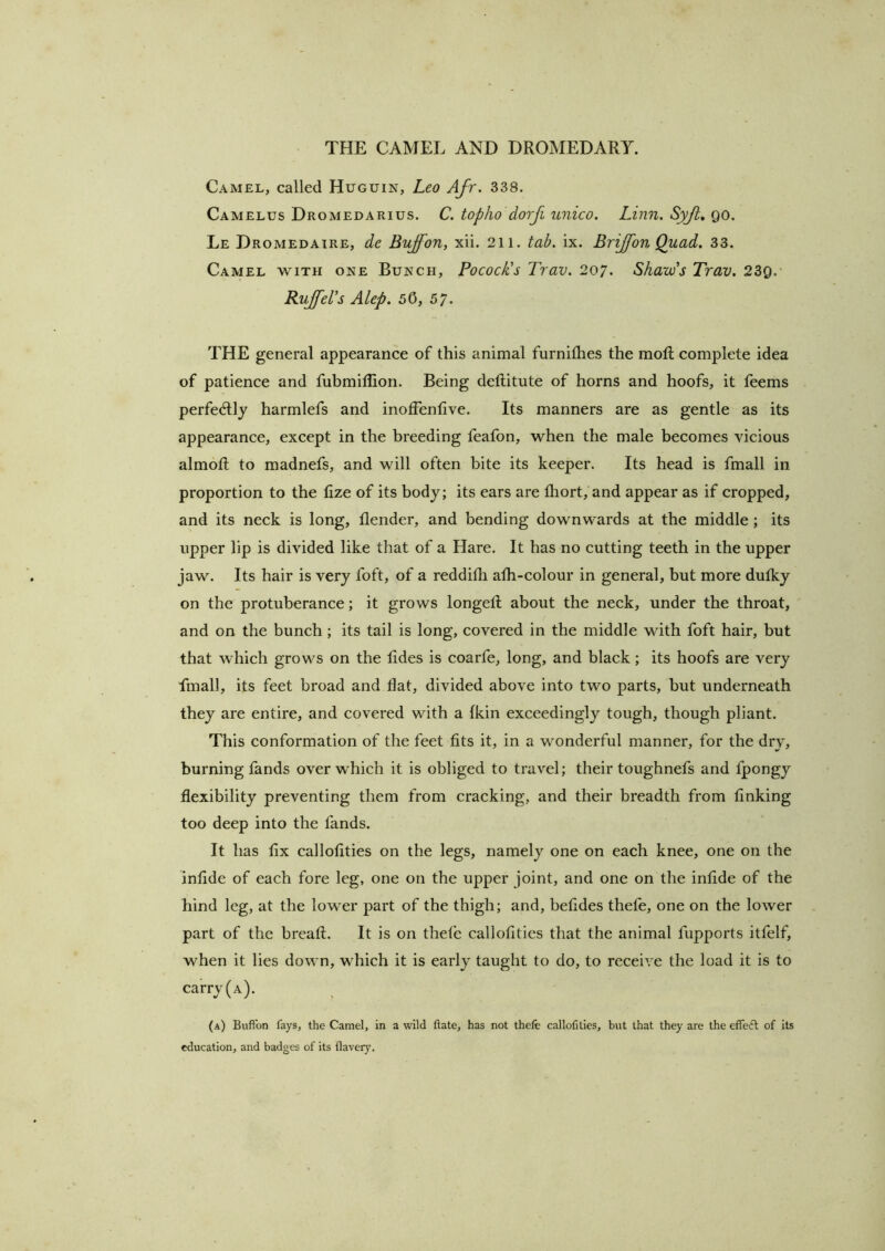 Camel, called Huguin, Leo Afr. 338. Camelus Dromedarius. C. topho dorji unico. Linn. Syjt» go. Le Dromedaire, de Buffon, xii. 211. tab. ix. Brijfon Quad. 33. Camel with one Bunch, PococJis Trav. 207. Shaxvs Trav. 23g. RuJfeVs Alep. 56, 57. THE general appearance of this animal furnhhes the mofi; complete idea of patience and fubmiffion. Being deftitute of horns and hoofs, it feems perfectly harmlefs and inoffenlive. Its manners are as gentle as its appearance, except in the breeding feafon, when the male becomes vicious almofl to madnefs, and will often bite its keeper. Its head is fmall in proportion to the lize of its body; its ears are fliort, and appear as if cropped, and its neck is long, Render, and bending downwards at the middle; its upper lip is divided like that of a Hare. It has no cutting teeth in the upper jaw. Its hair is very foft, of a redditli ath-colour in general, but more dutky on the protuberance; it grows longed; about the neck, under the throat, and on the bunch; its tail is long, covered in the middle with foft hair, but that which grows on the tides is coarfe, long, and black; its hoofs are very fmall, its feet broad and flat, divided above into two parts, but underneath they are entire, and covered with a fkin exceedingly tough, though pliant. This conformation of the feet fits it, in a wonderful manner, for the dry, burning fands over which it is obliged to travel; their toughnefs and fpongy flexibility preventing them from cracking, and their breadth from finking too deep into the fands. It has fix callofities on the legs, namely one on each knee, one on the infide of each fore leg, one on the upper joint, and one on the infide of the hind leg, at the lower part of the thigh; and, befides thefe, one on the lower part of the breaft. It is on thete callofities that the animal fupports itfelf, when it lies down, which it is early taught to do, to receive the load it is to carry (a). (a) Buftbn fays, the Camel, in a wild Rate, has not thele callofities, but that they are the effect of its education, and badges of its flaveiy.