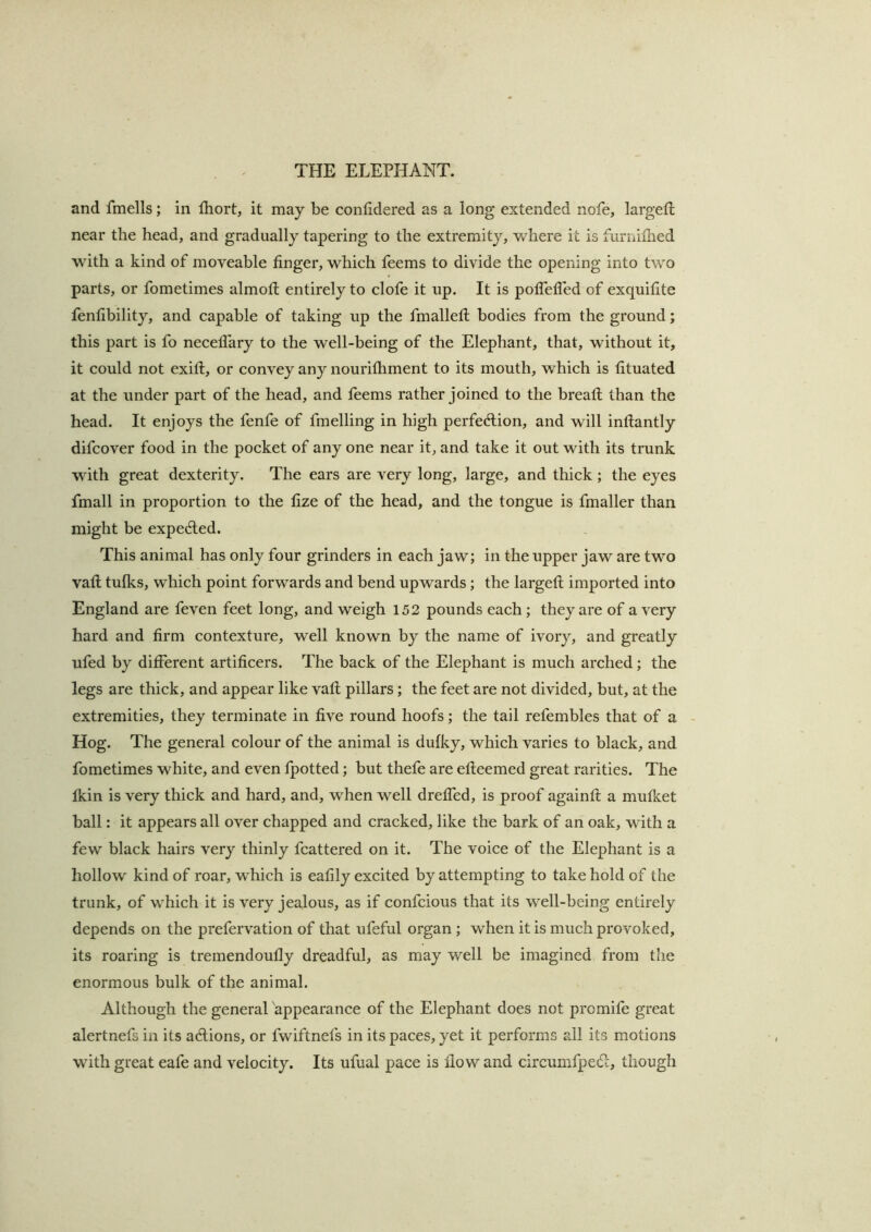 and fmells; in Ihort, it may be conlidered as a long extended note, largefl near the head, and gradually tapering to the extremity, where it is furnilhed with a kind of moveable finger, which feems to divide the opening into two parts, or fometimes almofl: entirely to clofe it up. It is polTefled of exquifite fenfibility, and capable of taking up the fmallefi; bodies from the ground; this part is fo neceflary to the well-being of the Elephant, that, without it, it could not exifi, or convey any nourifhment to its mouth, which is fituated at the under part of the head, and feems rather joined to the breafi; than the head. It enjoys the fenfe of fmelling in high perfedlion, and will inftantly difcover food in the pocket of any one near it, and take it out with its trunk with great dexterity. The ears are very long, large, and thick; the eyes fmall in proportion to the fize of the head, and the tongue is fmaller than might be expelled. This animal has only four grinders in each jaw; in the upper jaw are two vafi: tulks, which point forwards and bend upwards; the largefl; imported into England are feven feet long, and weigh 152 pounds each ; they are of a very hard and firm contexture, well known by the name of ivory, and greatly ufed by different artificers. The back of the Elephant is much arched; the legs are thick, and appear like vafl; pillars; the feet are not divided, but, at the extremities, they terminate in five round hoofs; the tail refembles that of a - Hog. The general colour of the animal is dufky, which varies to black, and fometimes white, and even Ipotted; but thefe are efteemed great rarities. The fkin is very thick and hard, and, when well dreffed, is proof againfl; a mulket ball: it appears all over chapped and cracked, like the bark of an oak, w ith a few black hairs very thinly fcattered on it. The voice of the Elephant is a hollow kind of roar, which is eafily excited by attempting to take hold of the trunk, of w^hich it is very jealous, as if confcious that its well-being entirely depends on the prefervation of that ufeful organ ; when it is much provoked, its roaring is tremendoufly dreadful, as may w/ell be imagined from the enormous bulk of the animal. Although the general appearance of the Elephant does not promife great alertnefs in its adlions, or fwiftnefs in its paces, yet it performs all its motions wfith great eafe and velocity. Its ufual pace is flow and circumfpedl, though