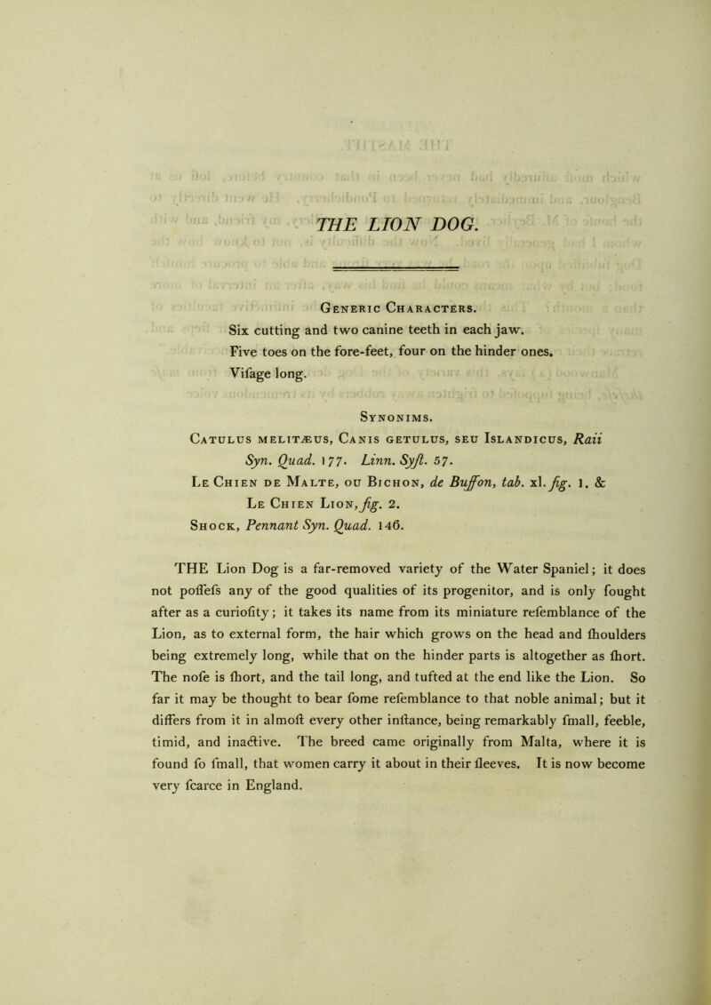 THE LION DOG, Six cutting and two canine teeth in each jaw. Five toes on the fore-feet, four on the hinder ones, Vifage long. f : I' i / Generic Characters. Synonims. Catulus melit.®us, Canis getulus, seu Islandicus, Raii Syn. Quad. 177. Linn. Syjl. 57. Le Chien de Malte, ou Bichon, de Buffon, tab. isX. jig. 1. & Le Chien Lion,^^. 2. Shock, Pennant Syn. Quad. 146. THE Lion Dog is a far-removed variety of the Water Spaniel; it does not polTefs any of the good qualities of its progenitor, and is only fought after as a curiofity; it takes its name from its miniature refemblance of the Lion, as to external form, the hair which grows on the head and ftioulders being extremely long, while that on the hinder parts is altogether as Ihort. The nofe is fhort, and the tail long, and tufted at the end like the Lion. So far it may be thought to bear fome refemblance to that noble animal; but it differs from it in almoft every other inftance, being remarkably fmall, feeble, timid, and inactive. The breed came originally from Malta, where it is found fo fmall, that women carry it about in their fleeves. It is now become very fcarce in England.