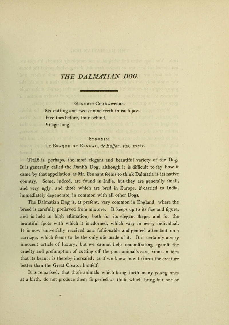 THE DALMATIAN DOG. Generic Characters. Six cutting and two canine teeth in each jaw. Five toes before, four behind. Vifage long. Synonim. Le Braque de Bengal, de Buff on, tab. xxxiv. THIS is, perhaps, the mod: elegant and beautiful variety of the Dog. If is generally called the Danilh Dog, although it is difficult to lay how it came by that appellation, as Mr. Pennant leems to think Dalmatia is its native country. Some, indeed, are found in India, but they are generally fmall, and very ugly; and thofe which are bred in Europe, if carried to India, immediately degenerate, in common with all other Dogs. The Dalmatian Dog is, at prefent, very common in England, where the breed is carefully preferved from mixture. It keeps up to its fize and figure, and is held in high eftimation, both for its elegant fhape, and for the beautiful fpots with which it is adorned, which vary in every individual. It is now univerfally received as a fafliionable and genteel attendant on a carriage, which feems to be the only ufe made of it. It is certainly a very innocent article of luxury; but we cannot help remonftrating againft the cruelty and preemption of cutting off the poor animal’s ears, from an idea that its beauty is thereby increafed: as if we knew how to form the creature better than the Great Creator himfelf! It is remarked, that thofe animals which bring forth many young ones at a birth, do not produce them fo perfedl as thofe which bring but one or