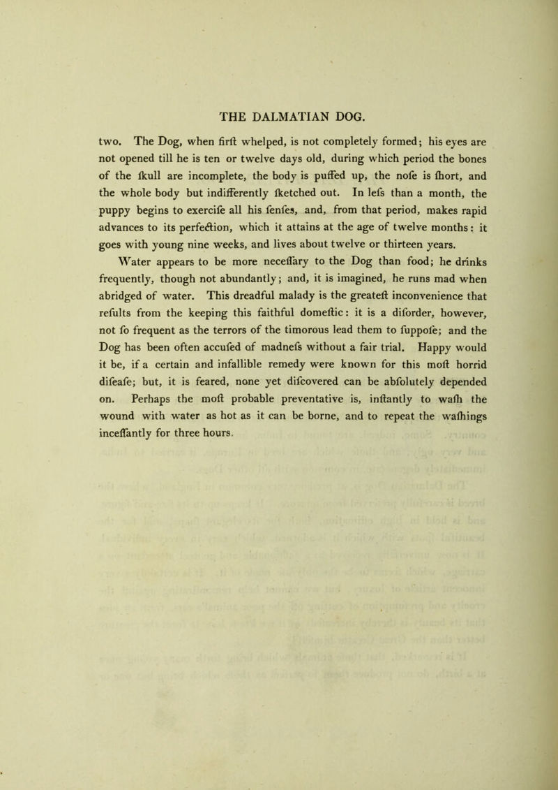 two. The Dog, when firft whelped, is not completely formed; his eyes are not opened till he is ten or twelve days old, during which period the bones of the Ikull are incomplete, the body is puffed up, the nofe is Ihort, and the whole body but indifferently fketched out. In lefs than a month, the puppy begins to exercife all his fenfes, and, from that period, makes rapid advances to its perfeAion, which it attains at the age of twelve months: it goes with young nine weeks, and lives about twelve or thirteen years. Water appears to be more neceffary to the Dog than food; he drinks frequently, though not abundantly; and, it is imagined, he runs mad when abridged of water. This dreadful malady is the greateft inconvenience that refults from the keeping this faithful domeflic: it is a diforder, however, not fo frequent as the terrors of the timorous lead them to fuppofe; and the Dog has been often accufed of madnefs without a fair trial. Happy would it be, if a certain and infallible remedy were known for this moft horrid difeafe; but, it is feared, none yet difcovered can be abfolutely depended on. Perhaps the moll probable preventative is, inflantly to wafli the wound with water as hot as it can be borne, and to repeat the walkings incelfantly for three hours.