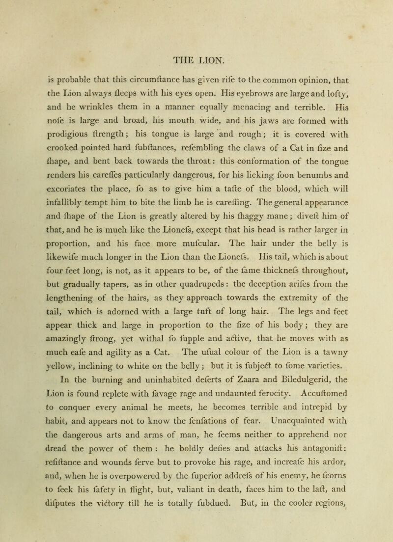 is probable that this circumllance has given rife to the common opinion, that the Lion always lleeps with his eyes open. His eyebrows are large and lofty, and he wrinkles them in a manner equally menacing and terrible. His nofe is large and broad, his mouth wide, and his jaw^s are formed with prodigious fircngth; his tongue is large and rough; it is covered wdth crooked pointed hard fubftances, refembling the claws of a Cat in tize and tliape, and bent back towards the throat: this conformation of the tongue renders his carelfes particularly dangerous, for his licking foon benumbs and excoriates the place, fo as to give him a tafle of the blood, which will infallibly tempt him to bite the limb he is careiling. The general appearance and fliape of the Lion is greatly altered by his fliaggy mane; divetl him of that, and he is much like the Lionefs, except that his head is rather larger in proportion, and his face more mufcular. The liair under the belly is likewdfe much longer in the Lion than the Lionefs. His tail, which is about four feet long, is not, as it appears to be, of the fame thicknefs throughout, but gradually tapers, as in other quadrupeds: the deception arifes from the lengthening of the hairs, as they approach towards the extremity of the tail, which is adorned with a large tuft of long hair. The legs and feet appear thick and large in proportion to the tize of his body; they are amazingly llrong, yet wdthal fo fupple and active, that he moves with as much eafe and agility as a Cat. The ufual colour of the Lion is a tawny yellow, inclining to white on the belly; but it is fubjecfl to fome varieties. In the burning and uninhabited deferts of Zaara and Biledulgerid, the Lion is found replete with favage rage and undaunted ferocity. Accutlomed to conquer every animal he meets, he becomes terrible and intrepid by habit, and appears not to know the fenfations of fear. Unacquainted with the dangerous arts and arms of man, he feems neither to apprehend nor dread the powder of them : he boldly defies and attacks his antagonill: refiflance and wounds ferve but to provoke his rage, and increafe his ardor, and, when he is overpowered by the fuperior addrefs of his enemy, he fcorns to feek his fafety in flight, but, valiant in death, faces him to the lafi, and difputes the vidlory till he is totally fubdued. But, in the cooler regions.