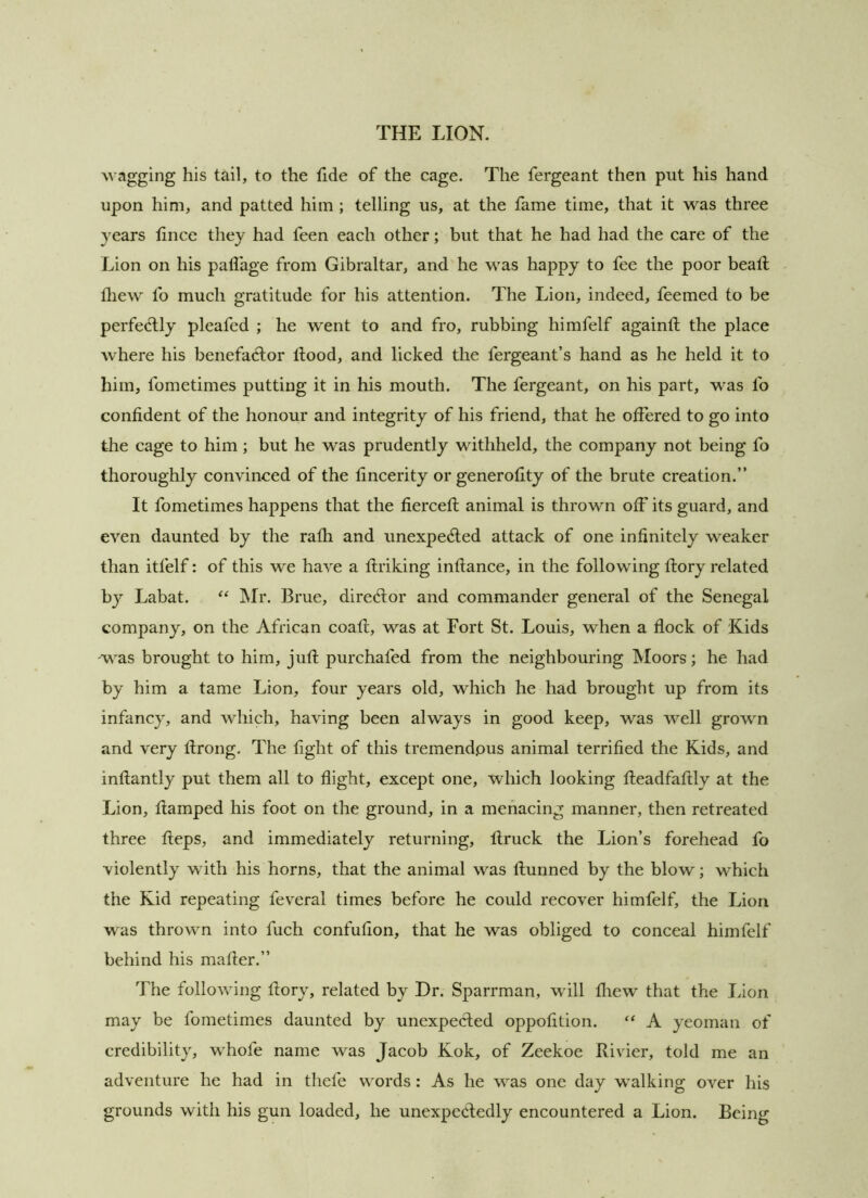 wagging his tail, to the tide of the cage. The fergeant then put his hand upon him, and patted him ; telling us, at the fame time, that it was three years tince they had feen each other; but that he had had the care of the Lion on his pafl’age from Gibraltar, and he was happy to fee the poor beatl tliew lb much gratitude for his attention. The Lion, indeed, feemed to be perfectly pleafed ; he went to and fro, rubbing himfelf againtl the place where his benefactor Hood, and licked the fergeant’s hand as he held it to him, fometimes putting it in his mouth. The fergeant, on his part, was fo confident of the honour and integrity of his friend, that he offered to go into the cage to him; but he was prudently withheld, the company not being fo thoroughly convinced of the fincerity or generofity of the brute creation.” It fometimes happens that the fiercefl; animal is thrown off its guard, and even daunted by the rath and unexpedled attack of one infinitely weaker than itfelf: of this we have a ftriking inftance, in the following ftory related by Labat. IMr. Brue, diredlor and commander general of the Senegal company, on the African coatl, was at Fort St. Louis, when a flock of Kids -was brought to him, juft purchafed from the neighbouring Moors; he had by him a tame Lion, four years old, which he had brought up from its infancy, and which, having been always in good keep, was well grown and very ftrong. The fight of this tremendous animal terrified the Kids, and inftantly put them all to flight, except one, which looking fteadfaftly at the Lion, ftamped his foot on the ground, in a menacing manner, then retreated three fteps, and immediately returning, ftruck the Lion’s forehead fo violently with his horns, that the animal was ftunned by the blow; which the Kid repeating feveral times before he could recover himfelf, the Lion was thrown into fuch confufion, that he was obliged to conceal himfelf behind his mafter.” The following ftory, related by Dr. Sparrman, will fliew that the Lion may be fometimes daunted by unexpected oppofition. “ A yeoman of credibility, whofe name was Jacob Kok, of Zeekoe Rivier, told me an adventure he had in thefe words: As he was one day walking over his grounds with his gun loaded, he unexpetdedly encountered a Lion. Being