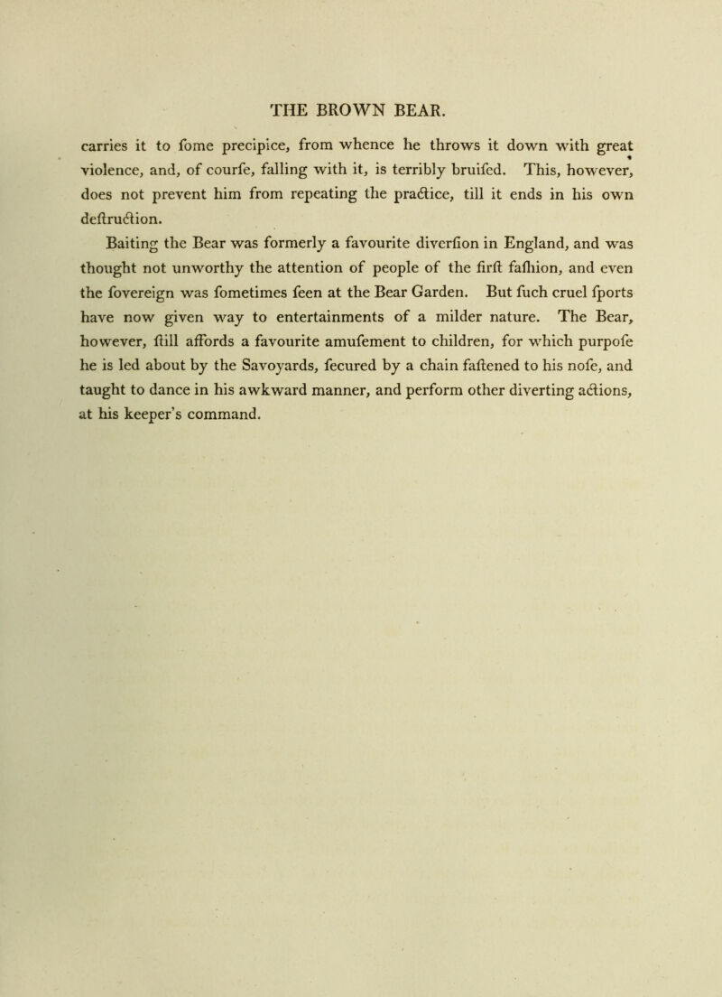 carries it to fome precipice, from whence he throws it down with great violence, and, of courfe, falling with it, is terribly bruifed. This, however, does not prevent him from repeating the practice, till it ends in his own deftru(5lion. Baiting the Bear was formerly a favourite diverfion in England, and was thought not unworthy the attention of people of the firfi; fafliion, and even the fovereign was fometimes feen at the Bear Garden. But fuch cruel fports have now given way to entertainments of a milder nature. The Bear, however. Rill affords a favourite amufement to children, for which purpofe he is led about by the Savoyards, fecured by a chain faftened to his nofe, and taught to dance in his awkward manner, and perform other diverting adlions, at his keeper’s command.