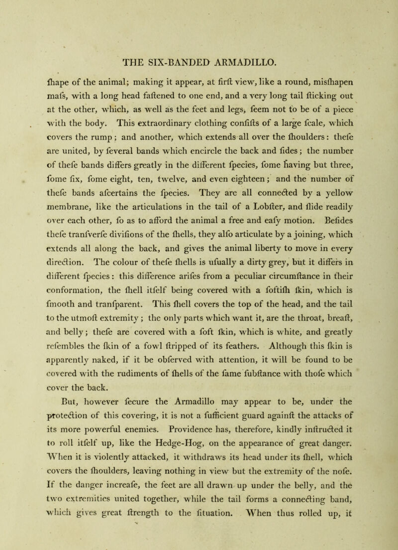 lhape of the animal; making it appear, at firft view, like a round, misfhapen mafs, with a long head fattened to one end, and a very long tail Ricking out at the other, which, as well as the feet and legs, feem not fo be of a piece with the body. This extraordinary clothing contitls of a large fcale, which covers the rump; and another, which extends all over the thoulders: thefe are united, by feveral bands which encircle the back and tides; the number of thefe bands differs greatly in the different tpecies, fome Laving but three, fome fix, fome eight, ten, twelve, and even eighteen; and the number of thefe bands afcertains the tpecies. They are all connedled by a yellow membrane, like the articulations in the tail of a Lobtler, and Aide readily over each other, fo as to afford the animal a free and eafy motion. Befides thefe tranfverfe divihons of the thells, they alfo articulate by a joining, which extends all along the back, and gives the animal liberty to move in every diredlion. The colour of thefe fliells is ufually a dirty grey, but it differs in different fpecies: this difference arifes from a peculiar circumftance in their conformation, the thell itfelf being covered with a foftifh tkin, which is fmooth and tranfparent. This thell covers the top of the head, and the tail to the utmotl extremity ; the only parts which want it, are the throat, breatl, and belly; thefe are covered with a foft tkin, which is white, and greatly refembles the tkin of a fowl tiripped of its feathers. Although this tkin is apparently naked, if it be obferved with attention, it will be found to be covered with the rudiments of thells of the fame fubtlance with thofe which cover the back. But, however fecure the Armadillo may appear to be, under the protection of this covering, it is not a futiicient guard againft the attacks of its more powerful enemies. Providence has, therefore, kindly intlrucled it to roll itfelf up, like the Hedge-Hog, on the appearance of great danger. When it is violently attacked, it withdraws its head under its fliell, which covers the fhoulders, leaving nothing in view but the extremity of the nofe. If the danger increafe, the feet are all drawn up under the belly, and the two extremities united together, while the tail forms a conne<fling band, which gives great flrength to the fituation. When thus rolled up, it