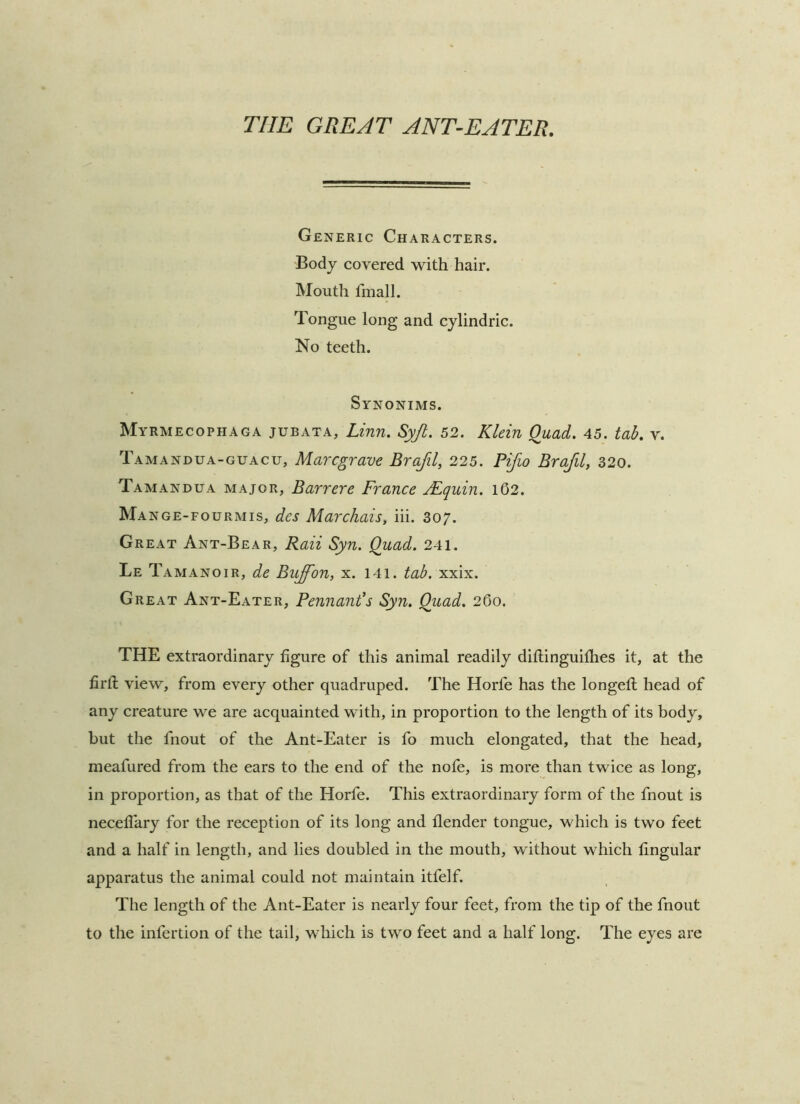 THE GREAT ANT-EATER. Generic Characters. 'Body covered with hair. Mouth fmall. Tongue long and cylindric. No teeth. Synonims. Myrmecophaga jubata, Linn, Syjl. 52. Klein Quad. 45. tab. v. Tamandua-guacu, Marcgrave Brafil, 225. Pifio Brafil, 320. Tamandua major, Barrere France JEjquin. l62. Ma nge-fourmis, des Marchais, iii. 307. Great Ant-Bear, Raii Syn. Quad. 241. Le Tamanoir, de Buffon, x. I4l. tab, xxix. Great Ant-Eater, Pennant's Syn. Quad. 260. THE extraordinary figure of this animal readily diflinguiflies it, at the firft view, from every other quadruped. The Horfe has the longefl head of any creature we are acquainted with, in proportion to the length of its body, but the fnout of the Ant-Eater is fo much elongated, that the head, meafured from the ears to the end of the nofe, is more than twice as long, in proportion, as that of the Horfe. This extraordinary form of the fnout is necelTary for the reception of its long and flender tongue, which is two feet and a half in length, and lies doubled in the mouth, without which lingular apparatus the animal could not maintain itfelf. The length of the Ant-Eater is nearly four feet, from the tip of the fnout to the infertion of the tail, which is two feet and a half long. The eyes are