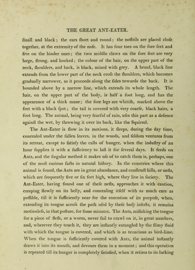 fmall and black ; the ears fhort and round; the nollrils are placed dote together, at the extremity of the nofe. It has four toes on the fore feet and five on the hinder ones; the two middle claws on the fore feet are very large, ftrong, and hooked; the colour of the hair, on the upper part of the neck, fhoulders, and back, is black, mixed with grey. A broad, black line extends from the lower part of the neck crofs the fhoulders, which becomes gradually narrower, as it proceeds along the fides towards the back. It is bounded above by a narrow line, which extends its whole length. The hair, on the upper part of the body, is half a foot long, and has the appearance of a thick mane; the fore legs are whitifii, marked above the feet with a black fpot; the tail is covered with very coarfe, black hairs, a foot long. The animal, being very fearful of rain, ufes this part as a defence againft the wet, by throwing it over its back, like the Squirrel. The Ant-Eater is flow in its motions, it deeps, during the day time, concealed under the fallen leaves, in the woods, and feldom ventures from its retreat, except to fatisfy the calls of hunger, when the induflry of an hour fupplies it with a fufficiency to laft it for feveral days. It feeds on Ants, and the lingular method it makes ufe of to catch them is, perhaps, one of the mod curious facds in natural hiftory. In the countries where this animal is found, the Ants are in great abundance, and condrudl hills, or nefts, which are frequently five or fix feet high, where they live in fociety. The Ant-Eater, having found one of thefe nells, approaches it with caution, creeping flowly on its belly, and concealing itfelf with as much care as poliible, till it is fufficiently near for the execution of its purpole, when, extending its tongue acrofs the path ufed by thefe buly infedls, it remains motionlefs, in that pofture, for fome minutes. The Ants, miftaking the tongue for a piece of flefh, or a worm, never fail to crawl on it, in great numbers, and, wherever they touch it, they are inftantly entangled by the flimy fluid with which the tongue is covered, and which is as tenacious as bird-lime. When the tongue is fufficiently covered with Ants, the animal inflantly draws it into its mouth, and devours them in a moment; and this operation is repeated till its hunger is completely fatisfied, when it retires to its lurking