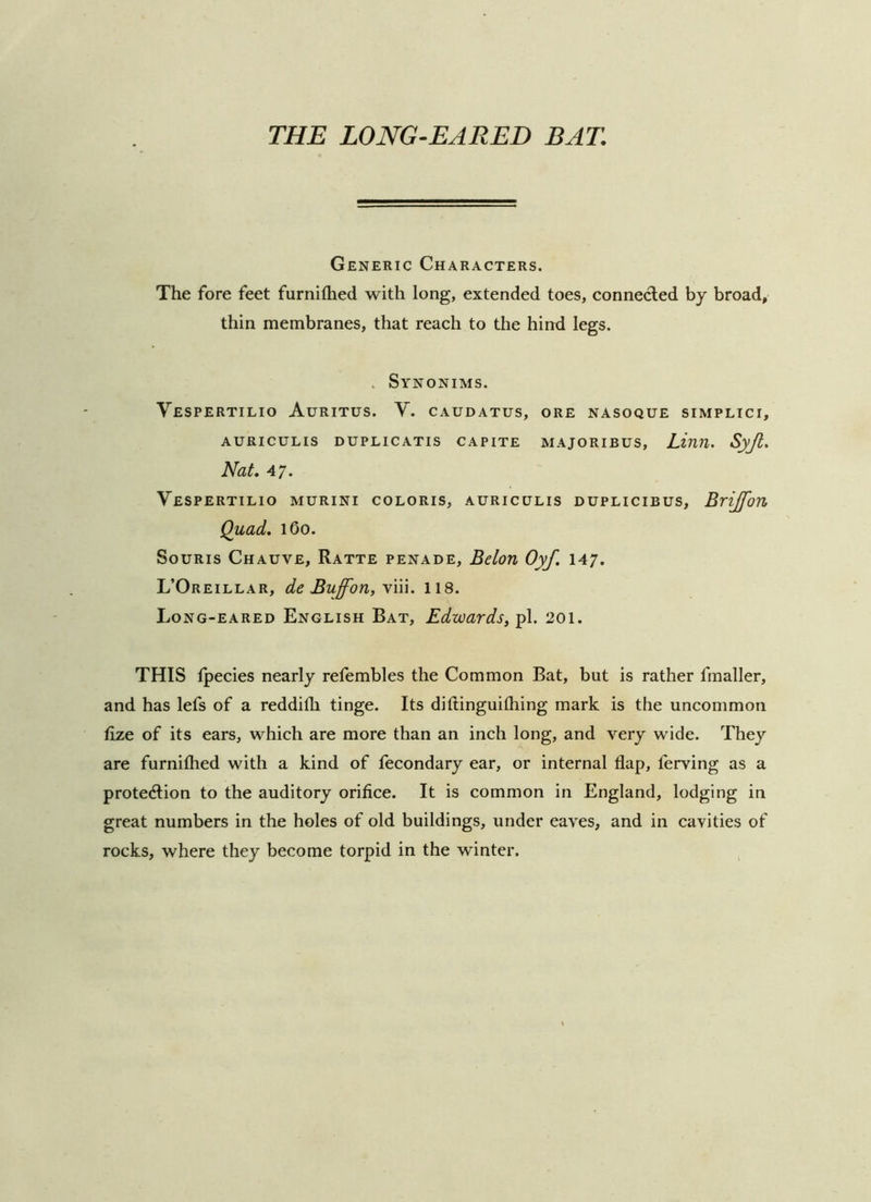 Generic Characters. The fore feet furnifhed with long, extended toes, connected by broad, thin membranes, that reach to the hind legs. . Synonims. VeSPERTILIO AuRITUS. V. CAUDATUS, ORE NASOQUE SIMPLICI, AURICULIS DUPLICATIS CAPITE MAJORIBUS, Linil. Syjt, Nat. 47. Vespertilio murini coloris, AURICULIS DUPLiciBus, BriJfoTi Quad. 160. Souris Chauve, Ratte penade, Belon Oyf. 147. L’Oreillar, de Buff-on, \n\. 118. Long-eared English Bat, Edwards,^}. 201. THIS Ipecies nearly refembles the Common Bat, but is rather fmaller, and has lefs of a reddifli tinge. Its diftinguilhing mark is the uncommon fize of its ears, which are more than an inch long, and very wide. They are furniflied with a kind of fecondary ear, or internal flap, ferving as a protection to the auditory orifice. It is common in England, lodging in great numbers in the holes of old buildings, under eaves, and in cavities of rocks, where they become torpid in the winter.