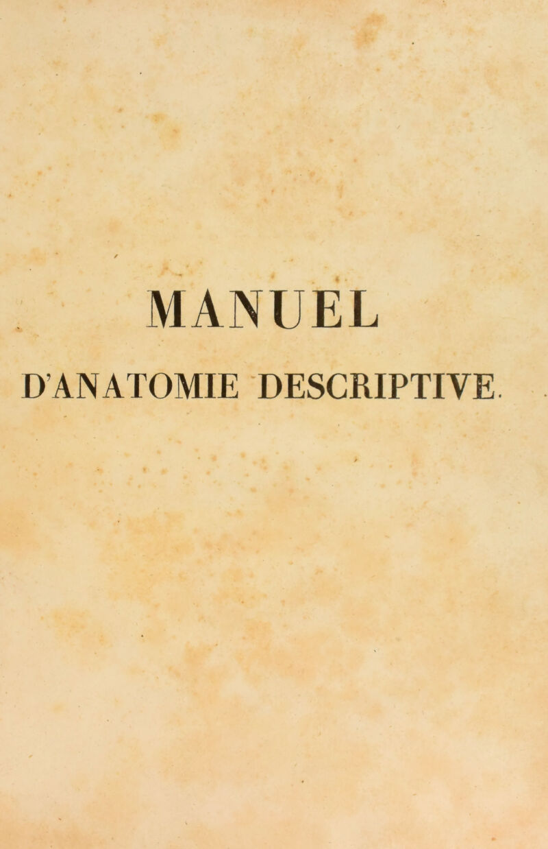 MANUEL D'ANATOMIE 'DESCRIPTIVE.