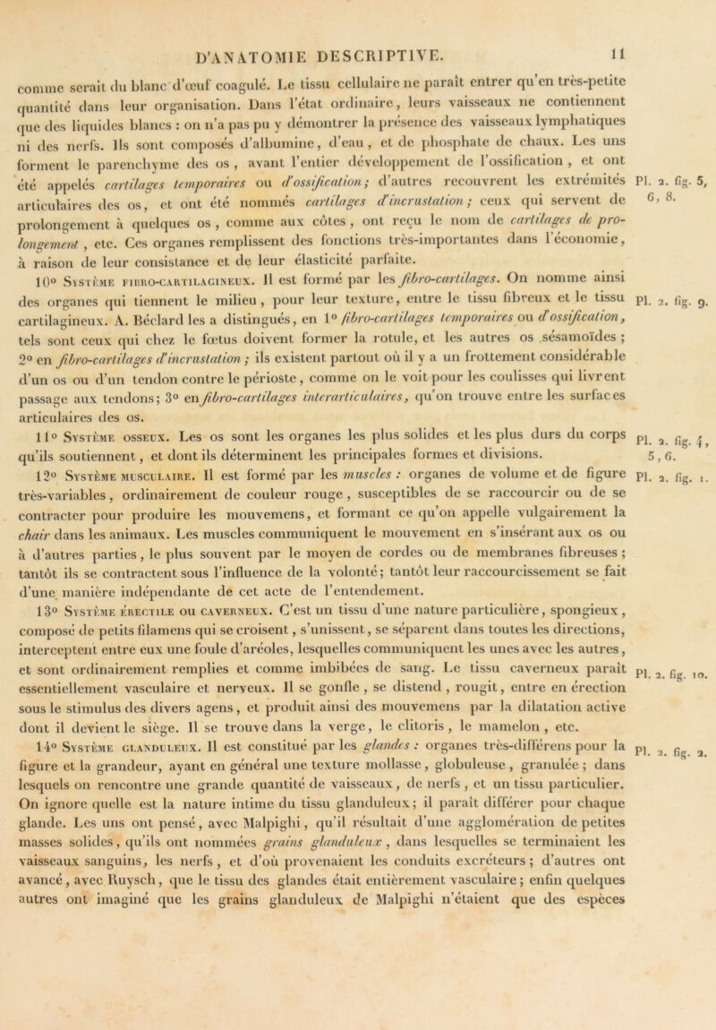 comme serait du blanc d’œuf coagulé. Le tissu cellulaire ne parait entrer qu en très-petite quantité dans leur organisation. Dans l’état ordinaire, leurs vaisseaux ne contiennent que des liquides blancs : on n’a pas pu y démontrer la présence des vaisseaux lymphatiques ni des nerfs. Ils sont composés d’albumine, d’eau, et de phosphate de chaux. Les uns forment le parenchyme des os , avant l’entier développement de l’ossilication , et ont été appelés cartilages temporaires ou d’ossification; d’autres recouvrent les extrémités articulaires des os, et ont été nommés cartilages d’incrustation; ceux (jui servent de prolongement à quelques os , comme aux cotes , ont reçu le nom de cartilages de pro- longement , ete. Ces organes remplissent des fonctions très-importantes dans Téconomie, à raison de leur consistance et de leur élasticité parfaite. 10° Système fiiuio-cartilacineux. Il est formé par les Jibro-cartilages. On nomme ainsi des organes qui tiennent le milieu, pour leur texture, entre le tissu fibreux et le tissu cartilagineux. A. Béclard les a distingues, en fibro-cart liages temporaires aw d ossification y tels sont ceux qui chez le fœtus doivent former la rotule, et les autres os .sésamoïdes ; 2® en fibro-cartilages d’incrustation ; ils existent partout où il y a un frottement considérable d’un os ou d’un tendon contre le périoste , comme on le voit pour les coulisses qui livrent passage aux tendons; 3® fibro-cartilages interarticulaires, qu’on trouve entre les surfaces articulaires des os. 11° Système osseux. Les os sont les organes les plus solides et les plus durs du corps qu’ils soutiennent, et dont ils déterminent les principales formes et divisions. 12« Système MUSCULAIRE. Il est formé par muscles : organes de volume et de figure très-variables, ordinairement de couleur rouge , susceptibles de se raccourcir ou de se contracter pour produire les mouvemens, et formant ce qu on appelle vulgairement la chair dans les animaux. Les muscles communiquent le mouvement en s’insérant aux os ou à d’autres parties, le plus souvent par le moyen de cordes ou de membranes fibreuses ; tantôt ils se contractent sous l’influence de la volonté; tantôt leur raccourcissement se fait d’une manière indépendante de cet acte de l’entendement. 13° Système érectile ou caverneux. C’est un tissu d'une nature particulière, spongieux, composé de petits filamens qui se croisent, s’unissent, se séparent dans toutes les directions, interceptent entre eux une foule d’aréoles, lesquelles communiquent les unes avec les autres, et sont ordinairement remplies et comme imbibées de sang. Le tissu caverneux paraît essentiellement vasculaire et nerveux. 11 se gonfle, se distend , rougit, entre en érection sous le stimulus des divers agens, et produit ainsi des mouvemens par la dilatation active dont il devient le siège. Il se trouve dans la verge, le clitoris, le mamelon, etc. 14° Système glanduleux. Il est constitué parles glandes : organes très-différens pour la figure et la grandeur, ayant en général une texture mollasse , globuleuse , granulée ; dans lesquels on rencontre une grande quantité de vaisseaux, de nerfs , et un tissu particulier. On ignore quelle est la nature intime du tissu glanduleux; il parait différer pour chaque glande. Les uns ont pensé, avec Malpigbi, qu’il résultait d’une agglomération de petites masses solides, qu’ils ont nommées grains glanduleux , dans lesquelles se terminaient les vaisseaux sanguins, les nerfs , et d’où provenaient les conduits excréteurs ; d’autres ont avancé, avec Ruysch, que le tissu des glandes était entièrement vasculaire; enfin quelques autres ont imaginé que les grains glanduleux de IMalpighi n’étaient que des espèces PI. 2. fig. 5, 6, 8. PI. 2. Ijg. 9. PI. 2. fig. 4, 5,6. PI. 2. fig. I. PI. 2. fig. 10.