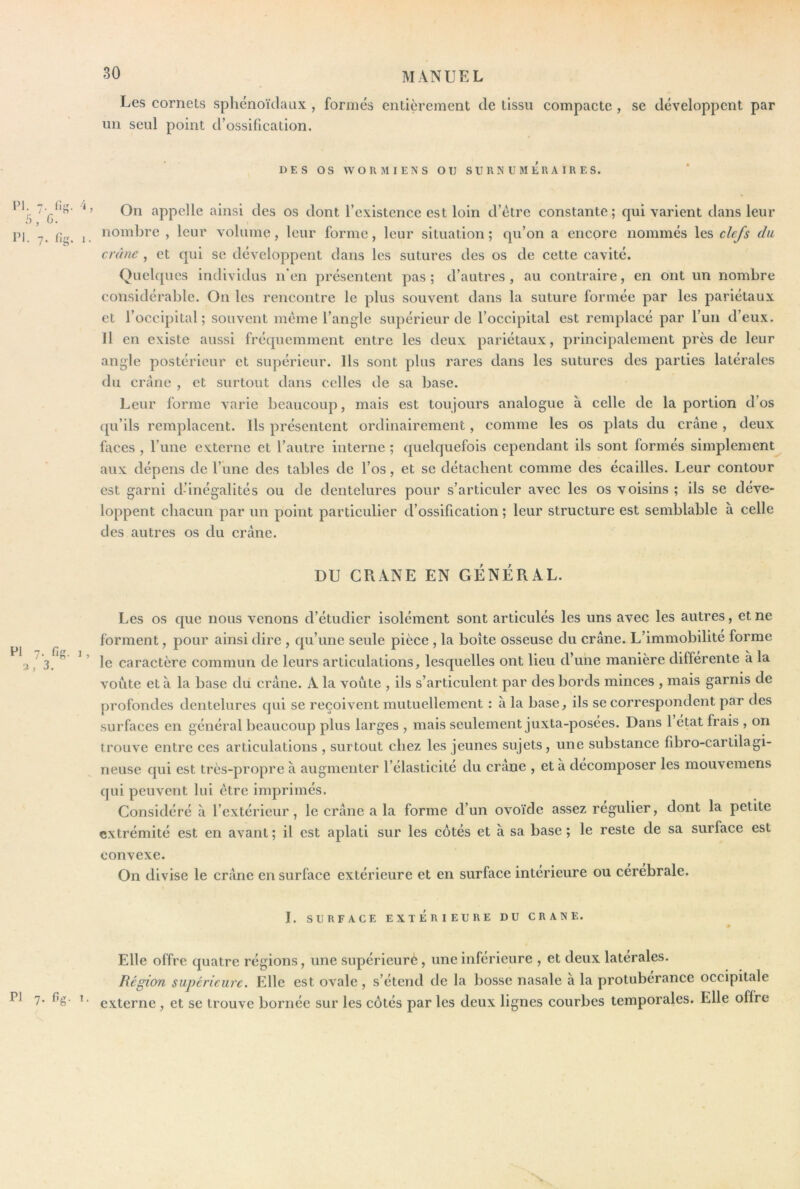 Les cornets sphénoïclaux , formés entièrement de tissu compacte , se développent par un seul point d’ossification. DES os WORMIENS O TI SURNUMERAIRES. On appelle ainsi des os dont l’existence est loin d’étre constante; qui varient dans leur nombre , leur volume, leur forme, leur situation ; qu’on a enepre nommés les clefs du crâne , et qui se développent dans les sutures des os de cette cavité. Quelques individus n'en présentent pas ; d’autres , au contraire, en ont un nombre considérable. On les rencontre le plus souvent dans la suture formée par les pariétaux et l’occipital; souvent même l’angle supérieur de l’occipital est remplacé par l’un d’eux. 11 en existe aussi fréquemment entre les deux pariétaux, principalement près de leur angle postérieur et supérieur. Us sont plus rares dans les sutures des parties latérales du crâne , et surtout dans celles de sa base. Leur forme varie beaucoup, mais est toujours analogue à celle de la portion d’os qu’ils remplacent. Us présentent ordinairement, comme les os plats du crâne , deux faces , l’ime externe et l’autre interne ; quelquefois cependant ils sont formés simplement aux dépens de l’une des tables de l’os, et se détachent comme des écailles. Leur contour est garni d-’inégalités ou de dentelures pour s’articuler avec les os voisins ; ils se déve- loppent chacun par un point particulier d’ossification ; leur structure est semblable à celle des autres os du crâne. DU CRANE EN GÉNÉRAL. Les os que nous venons d’étudier isolément sont articulés les uns avec les autres, et ne forment, pour ainsi dire , qu’une seule pièce , la boîte osseuse du crâne. L’immobilité forme le caractère commun de leurs articulations, lesquelles ont lieu d’une manière differente à la voûte et a la base du crâne. A la voûte , ils s’articulent par des bords minces , mais garnis de profondes dentelures qui se reçoivent mutuellement : à la base, ils se correspondent par des surfaces en général beaucoup plus larges , mais seulement juxta-posées. Dans 1 état frais , on trouve entre ces articulations , surtout chez les jeunes sujets, une substance fibro-cartilagi- rieuse qui est très-propre à augmenter l’élasticité du crâne , et à décomposer les mouvemens qui peuvent lui être imprimés. Considéré à l’extérieur, le crâne a la forme d’un ovoïde assez régulier, dont la petite extrémité est en avant; il est aplati sur les cotés et à sa base; le reste de sa surface est convexe. On divise le crâne en surface extérieure et en surface intérieure ou cérébrale. J. SURFACE EXTÉRIEURE DU CRANE. Elle offre quatre régions, une supéricurè, une inférieure , et deux latérales. Région supérieure. Elle est ovale , s’étend de la bosse nasale à la protubérance occipitale externe , et se trouve bornée sur les côtés par les deux lignes courbes temporales. Elle offre