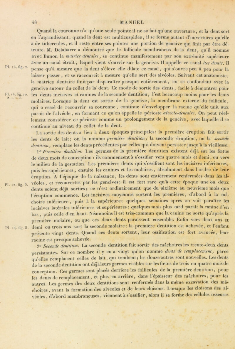 PI. i4. PI. i4. N. I. î PI. 12. PI. l'f. Quand la couronne n’a qu’une seule pointe il ne se fait qu’une ouverture, et la dent sort en l’agrandissant ; quand la dent est multicuspidée, il se forme autant d’ouvertures qu’elle a de tubercules, et il reste entre ses pointes une portion de gencive qui finit par être dé- truite. M. Delabarre a démontré que le follicule membraneux de la dent, qu’il nomme avec Bunon la matrice dentaire, se continue manifestement par son extrémité supérieure avec un canal étroit, lequel vient s’ouvrir sur la gencive. 11 appelle ce canal iter dentis. 11 pense qu’à mesure que la dent s’élève elle dilate ce canal, qui s’ouvre peu à peu pour la laisser passer, et se raccourcit à mesure qu’elle sort des alvéoles. Suivant cet anatomiste, la matrice dentaire finit par disparaître presque entièrement, en se confondant avec la gencive autour du collet de la’ dent. Ce mode de sortie des dents , facile à démontrer pour ’S- les dents incisives et canines de la seconde dentition, l’est beaucoup moins pour les dents molaires. Lorsque la dent est sortie de la gencive, la membrane externe du follicule, qui a cessé de recouvrir sa couronne , continue d’envelopper la racine qu’elle unit aux parois de l’alvéole , en formant ce qu’on appelle le périoste alvéolo-dentaire. On peut réel- lement considérer ce périoste comme un prolongement de la gencive , avec laquelle il se continue au niveau du collet de la dent. , La sortie des dents a lieu à deux époques principales ; la première éruption fait sortir les dents de lait; on la nomme première dentition; la seconde éruption, ou la seconde dentition, remplace les dents précédentes par celles qui doivent persister jusqu’à la vieillesse. 1° Première dentition. Les germes de la première dentition existent déjà sur les fœtus de deux mois de conception : ils commencent à s’ossifier vers quatre mois et demi, ou vers le milieu de la gestation. Les premières dents qui s’ossifient sont les incisives inférieures, puis les supérieures, ensuite les canines et les molaires , absolument dans l’ordre de leur éruption. A l’époque de la naissance, les dents sont entièrement renfermées dans les al- 5 véoles, et recouvertes par les gencives ; il est fort rare qu’à cette époque une bu deux ^ dents soient déjà sorties ; ce n’est ordinairement que du sixième au neuvième mois que l’éruption commence. Les incisives moyennes sortent les premières , d’abord à la ma. choire inférieure , puis à la supérieure; quelques semaines après on voit paraître les incisives latérales inférieures et supérieures ; quelques mois plus tard paraît la canine d’en bas , puis celle d’en haut. Néanmoins il est très-commun que la canine ne sorte qu’après la première molaire, ou que ces deux dents paraissent ensemble. Enfin vers deux ans et fig 8. demi ou trois ans sort la seconde molaire ; la première dentition est achevée, et l’enfant présente vingt dents. Quand ces dents sortent, leur ossification est fort,avancée, leur racine est presque achevée. Seconde dentition. La seconde dentition fait sortir des mâchoires les trente-deux dents persistantes. Sur ce nombre il y en a vingt qu’on nomme dknts de remplacement, parce qu’elles remplacent celles de lait, qui tombent; les douze autres sont nouvelles. Les dents de la seconde dentition ont déjà leurs germes visibles sur les fœtus de trois ou quatre mois de conception. Ces germes sont placés derrière les follicules delà première dentition, pour les dents de remplacement, et plus en arrière, dans l’épaisseur des mâchoires, pour les autres. Les germes des deux dentitions sont renfermés dans la même excavation des mâ- choires , avant la formation des alvéoles et de leurs cloisons. Lorsque les cloisons des al- véoles , d’abord membraneuses , viennent à s’ossifier, alors il se forme des cellules osseuses