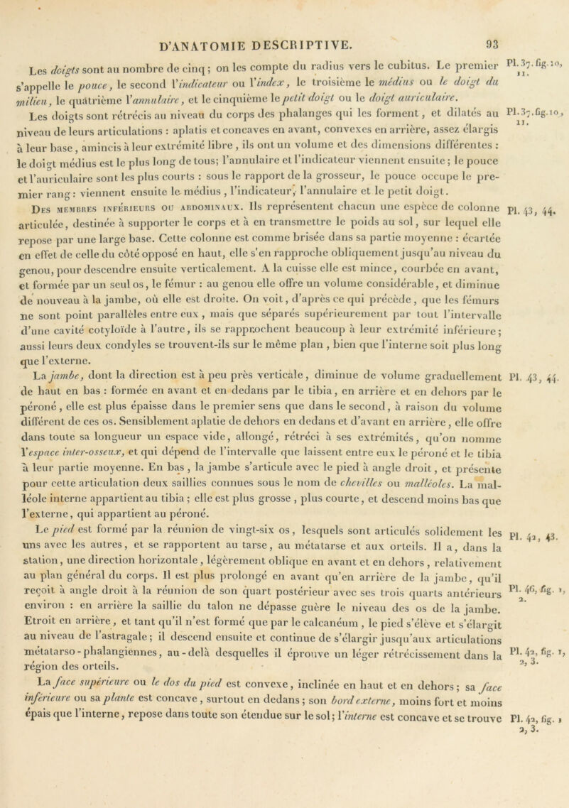 Les doigts sont au nombre de cinq; on les compte du radius vers le cubitus. Le premier s’appelle le pouce, le second Xindicateur ou Xindex, le troisième le médius ou le doigt du milieu, le qucHricme Xannulaire, et le cinquième \qpetit doigt ou le doigt auriculaire. Les doigts sont rétrécis au niveau du corps des phalanges qui les forment, et dilates au niveau de leurs articulations : aplatis et concaves en avant, convexes en arrière, assez élargis à leur base, amincis à leur extrémité libre , ils ont un volume et des dimensions différentes ; le doio't médius est le plus long de tous; Tannulaire et rindicateur viennent ensuite ; le pouce et l’auriculaire sont les plus courts : sous le rapport de la grosseur, le pouce occupe le pre- mier rang: viennent ensuite lomédius , l’indicateur, l’annulaire et le petit doigt. Des membres tnfe'rieurs ou abdominaux. Ils représentent chacun une espèce de colonne articulée, destinée à supporter le corps et à en transmettre le poids au sol, sur lequel elle repose par une large base. Cette colonne est comme brisée dans sa partie moyenne : écartée en effet de celle du côté opposé en haut, elle s en rapproche obliquement jusqu’au niveau du genou, pour descendre ensuite verticalement. A la cuisse elle est mince, courbée en avant, et formée par un seul os, le fémur : au genou elle offre un volume considérable, et diminue de nouveau à la jambe, où elle est droite. On voit, d’après ce qui précède , que les fémurs ne sont point parallèles entre eux , mais que séparés supérieurement par tout l’intervalle d’une cavité cotyloïde à l’autre, ils se rappr.ochcnt beaucoup à leur extrémité inférieure; aussi leurs deux condyles se trouvent-ils sur le meme plan , bien que l’interne soit plus long que l’externe. La jambe, dont la direction est à peu près verticale, diminue de volume graduellement de haut en bas : formée en avant et en dedans par le tibia, en arrière et en dehors par le péroné, elle est plus épaisse dans le premier sens que dans le second, à raison du volume différent de ces os. Sensiblement aplatie de dehors en dedans et d’avant en arrière , elle offre dans toute sa longueur un espace vide, allongé, rétréci à ses extrémités, qu’on nomme Xespace inter-osseux, et qui dépend de l’intervalle que laissent entre eux le péroné et Je tibia a leur partie moyenne. En bas , la jambe s’articule avec le pied à angle droit, et présente pour cette articulation deux saillies connues sous le nom de chevilles ou malléoles. La mal- léole interne appartient au tibia ; elle est plus grosse , plus courte, et descend moins bas que l’externe, qui appartient au péroné. Le pied est formé par la réunion de vingt-six os, lesquels sont articulés solidement les uns avec les autres, et se rapportent au tarse, au métatarse et aux orteils. Il a, dans la station, une direction horizontale , légèrement oblique en avant et en dehors , relativement au plan général du corps. 11 est plus prolongé en avant qu’en arrière de la jambe, qu’il reçoit à angle droit à la réunion de son quart postérieur avec ses trois quarts antérieurs environ : en arrière la saillie du talon ne dépasse guère le niveau des os de la jambe. Etroit en arrière, et tant qu’il n’est formé que par le calcanéum , le pied s’élève et s’élargit au niveau de 1 astragale; il descend ensuite et continue de s’élargir jusqu’aux articulations métatarso-phalangiennes, au-delà desquelles il éprouve un léger rétrécissement dans la région des orteils. Yj^face supérieure ou le dos du pied est convexe, inclinée en haut et en dehors; face inférieure ou six. plante est concave , surtout en dedans ; son bord externe, moins fort et moins épais que l’interne, repose dans toute son étendue sur le sol ; Xinterne est concave et se trouve Pl.37.fig. iO, 11. pl.37.fig.TO, II. PI. 43, 44* PI. ,43, 44. PI. 4a, 43. PI. 46, fig. 1, 2. PI. 42, fig. I, 2, 3. PI. 4:», fig. 1 3, 3.