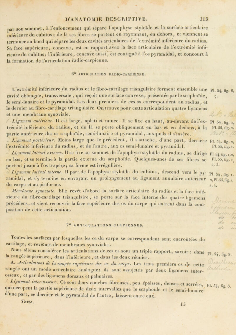 par son sommet, à l’enfoncement qui sépare l’apopliyse styloïde et la surface articulaire inférieure du cubitus ; de là ses fibres se portent en rayonnant, en dehors, et viennent se terminer au bord qui sépare les deux cavités articulaires de l’extrémité inférieure du radius. Sa face supérieure, concave, est en rapport avec la face articulaire de l’extrémité infé- rieure du cubitus ; l’inférieure, concave a'ussi, est contiguë à l’os pyramidal, et concourt à la formation de l’articulation fadio-carpienne. G® ARTICULATION RADIO-CARPIENNE. L’extrémité inférieure du radius et le fibro-cartilage triangulaire forment ensemble une cavité oblongue, transversale, qui reçoit une suiTace convexe, présentée par le scajihoïde, le semi-lunaire et le pyramidal. Les deux premiers de ces os correspondent au radius, et le dernier au fibro-cartilage triangulaire. On trouve pour cette articulation quatre ligamens et une membrane synoviale. / JAgamcnl antérieur. H est large, aplati et mince. Il se fixe en haut, au-devant de l’ex- trémité inférieure du radius, et de là se porte obliquement en bas et en dedans, à la partie antérieure des os scaphoïde, semi-lunaire et pyramidal, auxquels il s’insère. — Ligament postérieur. Moins la rge que le precedent, il s attache, d’une part, derrière l’extrémité inférieure du radins, et de l’autre, aux os semi-lunaire et pyramidal. Ligament latéral externe. Il se fixe au sommet de l’apophyse styloïde du radius , se dirige en bas, et se termine à la partie externe du scaphoïde. Quelques-unes de ses fibres se portent jusqu’à l’os trapèze; sa forme est irrégulière. ù Ligament latéral interne. 11 part de l’apophyse styloïde du cubitus , descend vers le py- ramidal, et s’y termine en envoyant un prolongement au ligament annulaire antérieur du carpe et au pisiforme. Membrane synoviale. Elle revêt d’abord la surface articulaire du radius et la face infé- rieure du fibro-cartilage triangulaire , se porte sur la face interne des quatre ligamens précédens, et vient recouvrir la face supérieure des os du carpe qui entrent dans la com- position de cette articulation. PI. 54, fig. 6, 7* PI. 54, fig. I, PI.55, fig. PI. 54, fig. 2, PI. 55, fig. I. PI 54, fig. 1,2, PI. 55, fig. I O ’ 2, 3. PI. 54 , fig. I, 2, PI. 55,fig. I, 2,4.' VA  7® ARTICULATIONS CARPIENNES. Toutes les surfaces par Icsijuclles les os du carpe se correspondent sont encroûtées de cartilage, et revêtues de membranes synoviales. Nous allons considérer les articulations de ces os sous un triple rapport, savoir : dans pj gr la rangée supérieure , dans l’inférieure, et dans les deux réunies. A. Articulations de la rangée supérieure des os du carpe. Les trois premiers os (]c cette rangée ont un mode articulaire analogue; ils sont assujettis par deux ligamens inter- ^ ^ osseux , et par des ligamens dorsaux et palmaires. / Ligament inler-osseuc. Ce sont deux couches fibreuses, peu épaisses, denses et serrées, pi 5/ 0 qui occupent la partie supérieure de deux intervalles que le scaphoïde et le semi-lunaire * *** d une part, ce dernier et le pyramidal de l’autre , laissent entre eux. Texte» 15