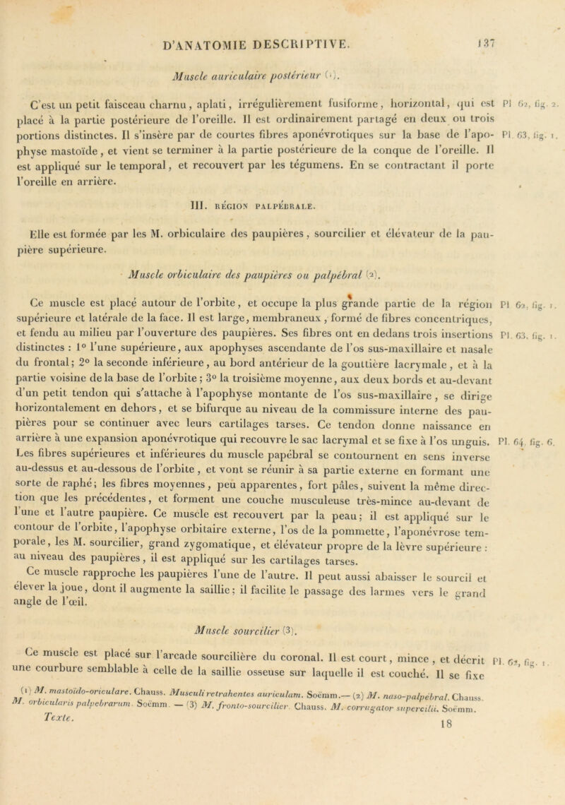 Muscle auriculaire postérieur (0. C’est un petit faisceau charnu, aplati, irrégulièrement fusiforme, horizontal, qui est PI (y},ü^.2. placé à la partie postérieure de l’oreille. Il est ordinairement partagé en deux ou trois portions distinctes. Il s’insère par de courtes fibres aponévrotiques sur la base de l’apo- PI os, lig. i. physe mastoïde, et vient se terminer à la partie postérieure de la conque de l’oreille. Il est appliqué sur le temporal, et recouvert par les tégumens. En se contractant il porte Toreille en arrière. ^ 111. RÉGION PALPÉlRALE. Elle est formée par les M. orbiculaire des paupières, sourcilier et élévateur de la pau- pière supérieure. • Muscle orbiculaire des paupières ou palpébral b). Ce muscle est placé autour de l’orbite, et occupe la plus grande partie de la région PI 62, /Ig. i. supérieure et latérale de la face. Il est large, membraneux, formé de fibres concentriques, et fendu au milieu par l’ouverture des paupières. Ses fibres ont en dedans trois insertions PI. 63, fig. i. distinctes : 1® Tune supérieure, aux apophyses ascendante de Tos sus-maxillaire et nasale du frontal ; 2° la seconde inférieure, au bord antérieur de la gouttière lacrymale, et à la partie voisine delà base de Torbite ; 3° la troisième moyenne, aux deux bords et au-devant d’un petit tendon qui s'attache à l’apophyse montante de Tos sus-maxillaire , se dirige horizontalement en dehors, et se bifurque au niveau de la commissure interne des pau- pières pour se continuer avec leurs cartilages tarses. Ce tendon donne naissance en arrière à une expansion aponévrotique qui recouvre le sac lacrymal et se fixe à Tos unguis. PI. 64 fîg. 6. Les fibres supérieures et inférieures du muscle papébral se contournent en sens inverse au-dessus et au-dessous de Torbite , et vont se réunir à sa partie externe en formant une sorte de raphé ; les fibres moyennes, peù apparentes, fort pâles, suivent la meme direc- tion que les precedentes, et forment une couche musculeuse très-mince au-devant de Tune et l’autre paupière. Ce muscle est recouvert par la peau; il est appliqué sur le contour de Torbite, l’apophyse orbitaire externe, Tos de la pommette, l’aponévrose tem- porale, les M. sourcilier, grand zygomatique, et élévateur propre de la lèvre supérieure : au niveau des paupières, il est appliqué sur les cartilages tarses. Ce muscle rapproche les paupières Tune de l’autre. 11 peut aussi abaisser le sourcil et elever la joue, dont il augmente la saillie ; il facilite le passage des larmes vers le i^rand angle de Tœil. ^ Muscle sourcilier (3). Ce muscie est placé sur l’arcade sourcilière du coronal. Il est court, mince , et décrit une courbure semblable à celle de la saillie osseuse sut laquelle il est couché. 11 se fixe 0) M. mastoido-oriculare. Chauss. Musculivetrahentes auriculam. Soèmm.— (2) M. naso-palpéhral Chaiiss Texte. , O 1 O n. rjj, fîg. I.