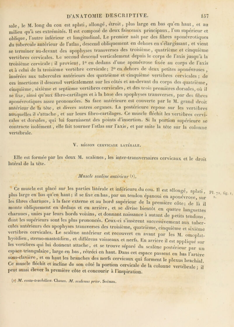 sale, le M. long du cou est aplati, allongé, étroit, plus large en bas qu’en haut, et au milieu qu’à ses extrémités. 11 est composé de deux faisceaux principaux , Tun supérieur et oblique, l’autre inférieur et longitudinal. Le premier naît par des fibres aponévrotiques du tubercule antérieur de l’atlas, descend obliquement en dehors en s’élargissant, et vient se terminer au-devant des apophyses transvcrscs des troisième, quatrième et cinquième vertèbres cervicales. Le second descend verticalement depuis le corps de 1 axis jusqu ci la troisième cervicale 5 il provient, 1® en dedans d une apone\rosc fixee au corps de I axis et à celui de la troisième vertèbre cervicale; 2^ en dehors de deux petites aponévroses , insérées aux tubercules antérieurs des quatrième et cinquième vertèbres cervicales ; de ces insertions il descend verticalement sur les cotés et au-devant du corps des quatrième, cinquième, sixième et septième vertèbres cervicales, et des trois premières dorsales, où il se fixe, ainsi qu’aux fibro-cartilages et à la base des apophyses transverses, par des fibres aponévrotiques assez prononcées. Sa face anterieure est couverte par le M. grand droit antérieur de la tète, et divers autres organes. La postérieure repose sur les vertèbres auxquelles il s’attache , et sur leurs fibro-cartilages. Ce muscle fléchit les vertèbres cervi- cales et dorsales, qui lui fournissent des points d’insertion. Si la portion supérieure se contracte isolément, elle fait tourner l’atlas sur Taxis, et par suite la tète sur la colonne vertébrale. V. RÉGION CERVICALE LATERALE. Elle est formée par les deux M. scalènes, les inter-transversaires cervicaux et le droit latéral de la tête. Muscle scalène antérieur (^). Ce muscle est placé sur les parties latérale et inférieure du cou. Il est allono-é aplati plus large en bas qu’en haut; il se fixe en bas, par un tendon épanoui en aponévrose slir les fibres charnues, à la face externe et au bord supérieur de la première côte* de là il monte obliquement en dedans et en arrière, et se divise bientôt en quatre languettes charnues, unies par leurs bords voisins, et donnant naissance à autant de petits tendons dont les supérieurs sont les plus prononcés. Ceux-ci s’insèrent successivement aux tuber- cules antérieurs des apophyses transverses des troisième, quatrième, cinquième et sixième vertèbres cervicales. Le scalène antérieur est recouvert en avant par les M. omoplat- hyoïdien, sterno-mastoïclien, et différeus vaisseaux et nerfs. En arrière il est appliqué sur les vertèbres qui lui donnent attache, et se trouve séparé du scalène postérieur par un espace triangulaire, large eu bas, rétréci en haut. Dans cet espace passent en bas l’artère sous-clavière , et en haut les branches des nerfs cervicaux qui forment le plexus brachial. Ce muscle fléchit et incline de son côté la portion cervicale de la colonne vertébrale • il peut aussi élever la première côte et concourir à l’inspiration. ’ (1) I\l, costo-trachelien. Chauss. M. scalenus priov. Socram. 7»; »,