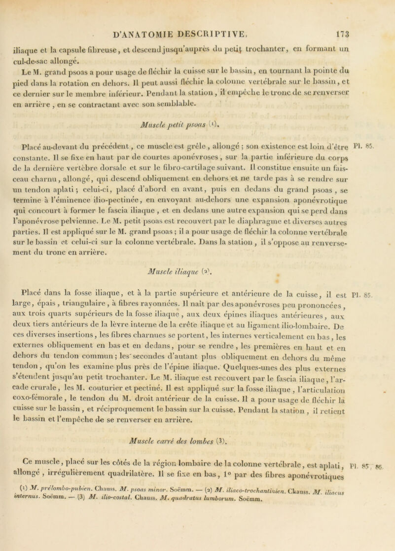 iliaque et la capsule fibreuse, et descend jusqu’auprès du petit trochanter, en formant un cul-tle-sac allongé. Le M. grand psoas a pour usage de fléchir la cuisse sur le bassin, en tournant la pointe du pied dans la rotation en dehors. Il peut aussi fléchir la colonne vertébrale sur le bassin, et ce dernier sur le membre inférieur. Pendant la station , il empecbe le tronc de se renverser en arrière , en se contractant avec son semblable. Muscle pelit psoas (0. Placé au-devant du précédent, ce muscle est grêle , allongé ; son existence est loin d’être constante. Il se fixe en haut par de courtes aponévroses , sur la partie inférieure du corps de la dernière vertèbre dorsale et sur le flbro-cartilage suivant. Il constitue ensuite un fais- ceau charnu, allongé, ([ui descend obliquement en dehors et ne tarde jDas à se rendre sur un tendon aplati; celui-ci, placé d’abord en avant, puis en dedans du grand psoas, se termine à l’éminence ilio-pectinée, en envoyant au-dehors une expansion aponévrotique qui concourt à former le fascia iliaque , et en dedans une autre expansion qui se perd dans l’aponévrose pelvienne. Le M. petit psoas est recouvert par le diaphragme et diverses autres parties. Il est appliqué sur le M. grand psoas ; il a pour usage de fléchir la colonne vertébrale sur le bassin et celui-ci sur la colonne vertébrale. Dans la station , il s’oppose au renverse- ment du tronc en arrière. PI. 85. Muscle iliaque (2}. Placé dans la fosse iliaque, et à la partie supérieure et antérieure de la cuisse, il est PL 85. large, épais , triangulaire , à fibres rayonnées. Il naît par des aponévroses peu prononcées , aux trois quarts supérieurs de la fosse iliaque , aux deux épines iliaques antérieures, aux deux tiers antérieurs de la lèvre interne de la crête iliaque et au ligament ilio-lombaire. De ces diverses insertions, les fibres charnues se portent, les internes verticalement en bas , les externes obliquement en bas et en dedans, pour se rendre , les premières en haut et en dehors du tendon commun; les'secondes d’autant plus obliquement en dehors du même tendon, qu’on les examine plus près de l’épine iliaque. Quelques-unes des plus externes s’étendent jusqu’au petit trochanter. Le M. iliaque est recouvert par le fascia iliaque, l’ar- cade crurale , les M. couturier et pectiné. Il est appliqué sur la fosse iliaque , l’articulation coxo-fémorale, le tendon du M. droit antérieur de la cuisse. 11 a pour usage de fléchir la cuisse sur le bassin , et réciproquement le bassin sur la cuisse. Pendant la station , il retient le bassin et l’empêche de se renverser en arrière. Muscle carré des lombes (3). Ce muscle, placé sur les côtés de la région lombaire de la colonne vertébrale, est aplati, PI. 8ÎT allongé , irrégulièrement quadrilatère. 11 se fixe en bas, 1® par des fibres aponévrotiques (1) M. prelomho-puhien. Chaiiss. M. psoas minor. Soëmm. — (2) 31. iliaco-trochontinien. Ckanss. M. iliacus internus. Soëmm. — (3) 31. ilio-costal. Cliauss. 31. quadvatus lumhorum. Soëmm.