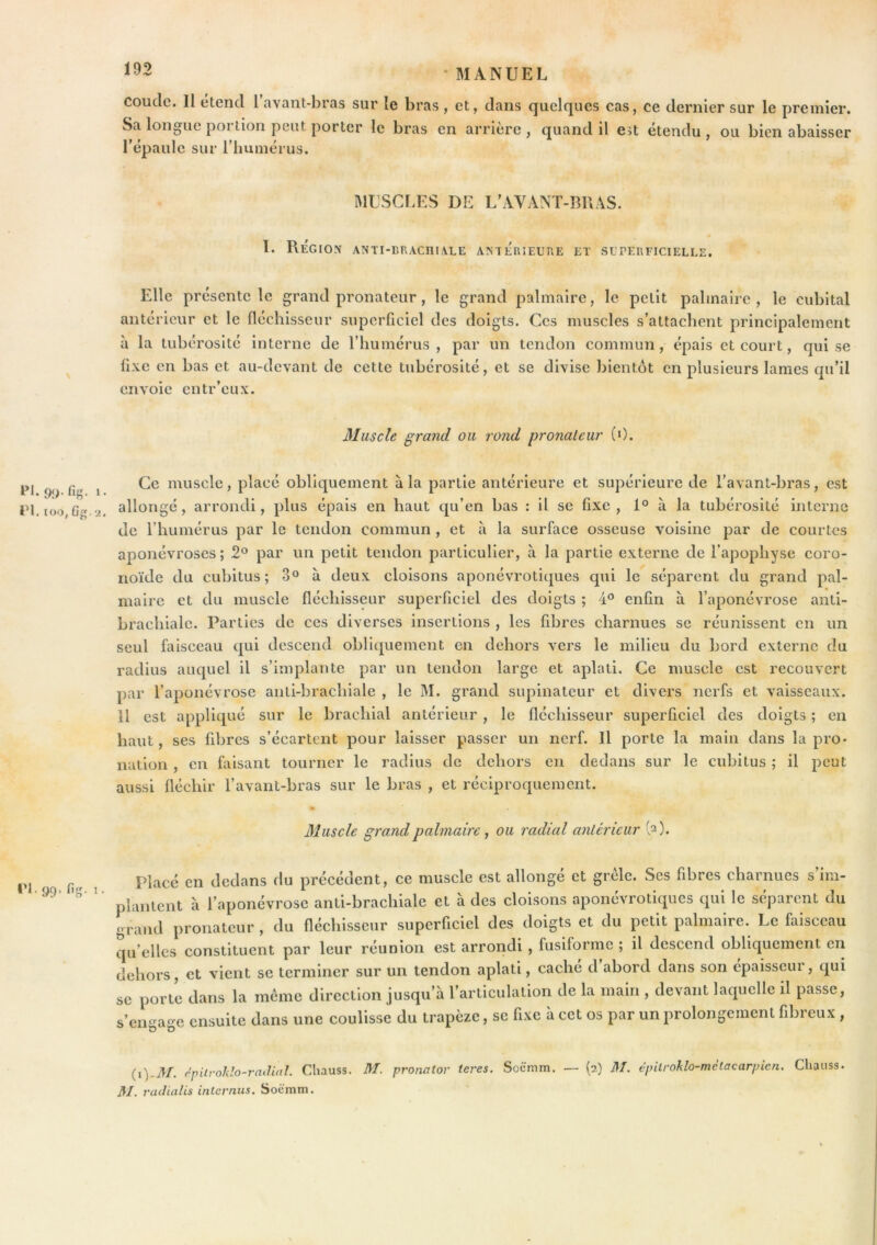 coude. Il étend l’avant-bras sur le bras, et, dans quelques cas, ce dernier sur le premier. Sa longue poi tion peut porter le bras en arrière , quand il eît etendu , ou bien abaisser l’épaule sur riiumérus. MUSCr.ES DE L’AVANT-BUAS. « 1. Région anti-lraciiia.le aniérieuue et superficielle. Elle présente le grand pronateur, le grand palmaire, le petit palmaire, le cubital antérieur et le fléchisseur superficiel des doigts. Ces muscles s’attachent principalement à la tubérosité interne de riiumérus, par un tendon commun, épais et court, qui se fixe en bas et au-devant de cette tubérosité, et se divise bientôt en plusieurs lames qu’il envoie entr’eux. Muscle grand ou rond pronateur (0. i. l'I. too, Gg. 2. Ce muscle, placé obliquement à la partie antérieure et supérieure de l’avant-bras, est allongé, arrondi, plus épais en haut qu’en bas : il se fixe , 1° à la tubérosité interne de l’humérus par le tendon commun , et a la surface osseuse voisine par de courtes aponévroses ; 2® par un petit tendon particulier, à la partie externe de l’apophyse coro- rioïde du cubitus; 3° à deux cloisons aponévrotiques qui le séparent du grand pal- maire et du muscle fléchisseur superficiel des doigts ; 4° enfin à l’aponévrose anti- brachiale. Parties de ces diverses insertions , les fibres charnues se réunissent en un seul faisceau qui descend obliquement en dehors vers le milieu du bord externe du radius auquel il s’implante par un tendon large et aplati. Ce muscle est recouvert par l’aponévrose anti-brachiale , le M. grand supinateur et divers nerfs et vaisseaux, il est appliqué sur le brachial antérieur, le fléchisseur superficiel des doigts ; en haut, ses fibres s’écartent pour laisser passer un nerf. Il porte la main dans la pro> nation , en faisant tourner le radius de dehors en dedans sur le cubitus ; il peut aussi fléchir l’avant-bras sur le bras , et réciproquement. Muscle grand palmaire , ou radial antérieur (2). l’I. 9Ç), Gg. 1 Placé en dedans du précédent, ce muscle est allongé et grêle. Scs fibres charnues s’im- plantent a l’aponévrose anti-brachiale et à des cloisons aponévrotiques qui le séparent du grand pronateur , du fléchisseur superficiel des doigts et du petit palmaire. Le faisceau qu’elles constituent par leur réunion est arrondi , fusiforme ; il descend obliquement en dehors, et vient se terminer sur un tendon aplati, cache d abord dans son cpaisseui , qui se porte dans la meme direction jusqu’à l’articulation de la main , devant laquelle il passe, s’engage ensuite dans une coulisse du trapèze, se fixe à cet os par un prolongement fibreux , rpilrotxto-radial. Chauss. M. pronator teres. Soëmm. — (2) M. cpilrohlo-métacarpicn. Cliauss. 3/. radialis internus. Soèmm.