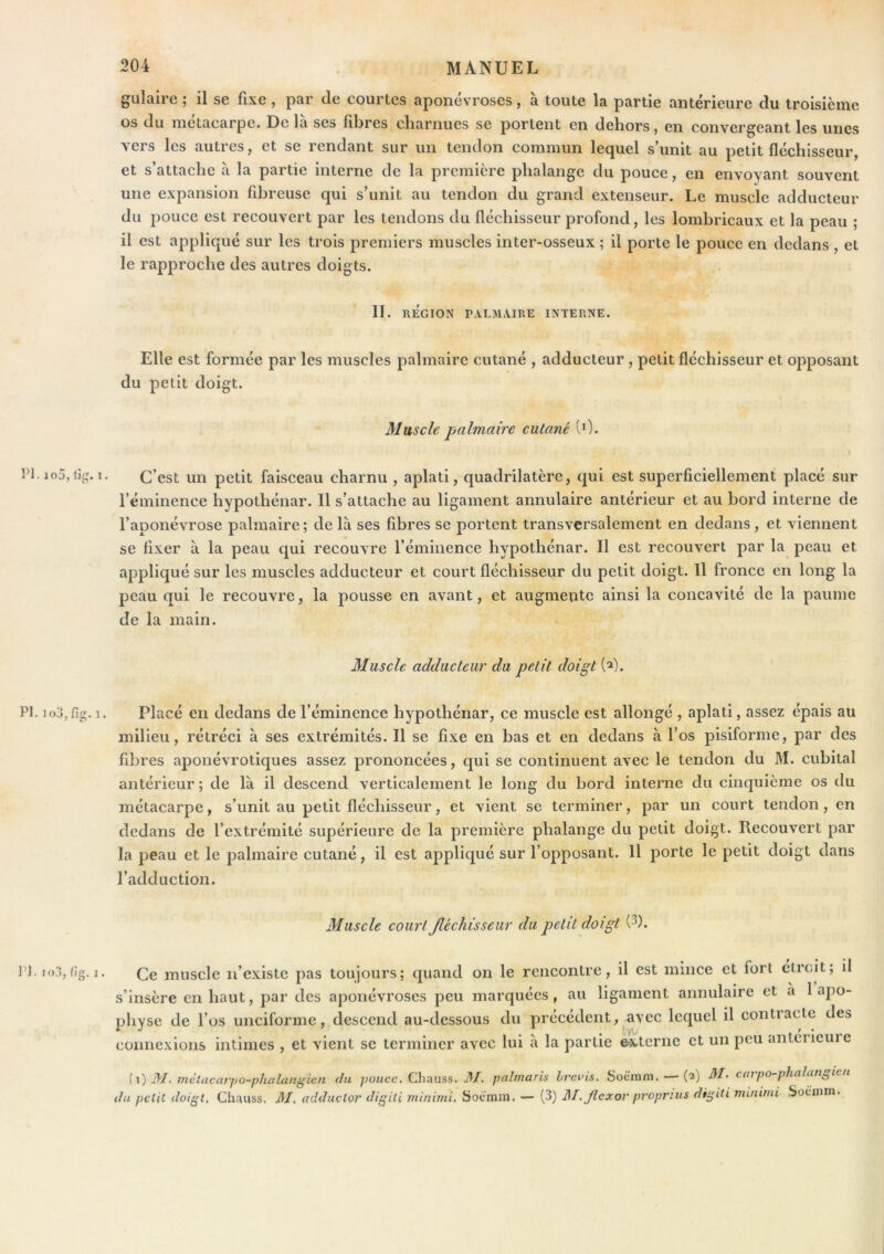 gulaire ; il se fixe, par de courtes aponévroses, à toute la partie antérieure du troisième os du métacarpe. De la ses liLres cliarnues se portent en dehors ^ en convergeant les unes vers les autres, et se rendant sur un tendon commun lequel s’unit au petit fléchisseur, et s’attache à la partie interne de la première phalange du pouce, en envoyant souvent une expansion fibreuse qui s’unit au tendon du grand extenseur. Le muscle adducteur du pouce est recouvert par les tendons du fléchisseur profond, les lombricaux et la peau ; il est appliqué sur les trois premiers muscles inter-osseux ; il porte le pouce en dedans , et le rapproche des autres doigts. II. RÉGION PALMXIRE INTERNE. Elle est formée par les muscles palmaire cutané , adducteur , petit fléchisseur et opposant du petit doigt. Muscle palmaire cutané (0. ri. io5, tig. i. C’est un petit faisceau charnu , aplati, quadrilatère, qui est superficiellement placé sur l’éminence hypothénar. Il s’attache au ligament annulaire antérieur et au bord interne de l’aponévrose palmaire; de là ses fibres se portent transversalement en dedans , et viennent se fixer à la peau qui recouvre l’éminence hypothénar. Il est recouvert par la peau et appliqué sur les muscles adducteur et court fléchisseur du petit doigt. 11 fronce en long la peau qui le recouvre, la pousse en avant, et augmente ainsi la concavité de la paume de la main. Muscle adducteur du petit doigt (^). PI. lojjfig.i. Placé en dedans de l’éminence hypothénar, ce muscle est allongé , aplati, assez épais au milieu, rétréci à ses extrémités. Il se fixe en bas et en dedans à l’os pisiforme, par des fibres aponévrotiques assez prononcées, qui se continuent avec le tendon du M. cubital antérieur; de là il descend verticalement le long du bord interne du cinquième os du métacarpe, s’unit au petit fléchisseur, et vient se terminer, par un court tendon, en dedans de l’extrémité supérieure de la première phalange du petit doigt. Recouvert par la peau et le palmaire cutané, il est appliqué sur l’opposant. Il porte le petit doigt dans l’adduction. Muscle court Jléchisseur du petit doigt (3). l’J. io3, fig. J. Ce muscle n’existe pas toujours; quand on le rencontre, il est mince et fort étroit; il s’insère en haut, par des aponévroses peu marquées, au ligament annulaire et à 1 apo- physe de l’os unciforme, descend au-dessous du précédent,^^vcc lequel il contracte des connexions intimes , et vient se terminer avec lui à la partie &xtcrne et un peu antcrieuie [\)M, métacarpo-phalangien du pouce. Qhnuss. M. palmaris hrevis. Soëram. — (2) M. carpo-plialangien du petit doigt, Chauss. M, adductor digiti minimi, Socram. — (3) Bl.Jlexor proprius digiti minimi Socinm.