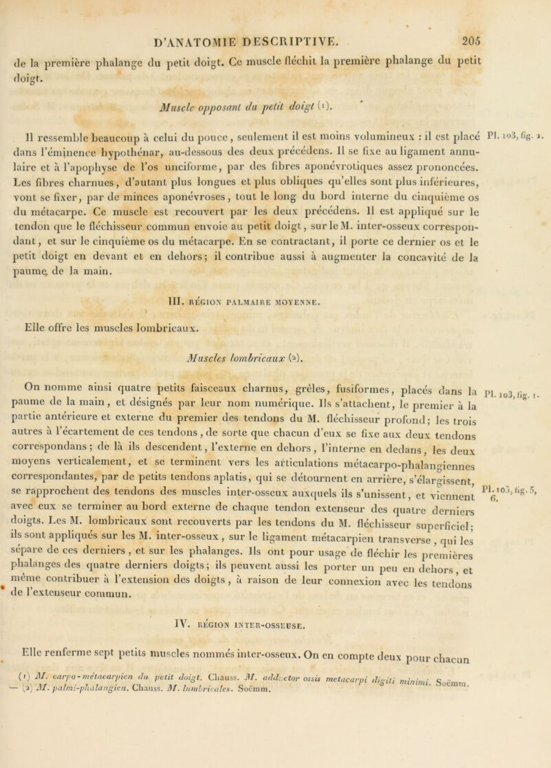 (le la première phalange du petit doigt. Ce muscle fléchit la première phalange du petit doigt. Muscle opposant du petit doigt (0. 11 ressemble beaucoup à celui du pouce, seulement il est moins volumineux : il est place PJ dans rémiiience hypothéiiar, au-dessous des deux précédens. 11 se fixe au ligament annu- laire et a l’apophyse de l’os unciforme, par des fibres aponévrotiques assez prononcées. Les fibres charnues, d’autant plus longues et plus obliques qu’elles sont plus inférieures, vont se fixer, par de minces aponévroses, tout le long du bord interne du cinquième os du métacarpe. Ce muscle est recouvert par les deux précédens. Il est appliqué sur le tendon que le fléchisseur commun envoie au petit doigt, sur le M. inter-osseux correspon- dant, et sur le cinquième os du métacarpe. En se contractant, il porte ce dernier os et le petit doigt en devant et en dehors; il contribue aussi à augmenter la concavité de la panniQ, de la main. III. RÉGION PALMAIRE MOYENNE. I Elle offre les muscles lombricaux. Muscles lombricaux iP‘). On nomme ainsi quatre petits faisceaux charnus, grêles, fusiformes, placés dans la paume de la main, et désignés par leur nom numérique. Ils s’attachent, le premier à la partie antérieure et externe du premier des tendons du M. fléchisseur profond; les trois autres à l’écartement de ces tendons, de sorte que chacun d’eux se fixe aux deux tendons correspondans ; de là ils descendent, l’externe en dehors, l’interne en dedans, les deux moyens verticalement, et se terminent vers les articulations métacarpo-phalangiennes correspondantes, par de petits tendons aplatis, qui se détournent en arrière, s’élargissent, se rapprochent des tendons des muscles inter-osseux auxquels ils s’unissent, et viennent avec eux se terminer au bord externe de chaque tendon extenseur des quatre derniers doigts. Les M. lombricaux sont recouverts par les tendons du M. fléchisseur superficiel; ils sont appliqués sur les M. inter-osseux, sur le ligament métacarpien transverse , qui les sépare de ces derniers, et sur les phalanges. Ils ont pour usage de fléchir les premières phalanges des quatre derniers doigts; ils peuvent aussi les porter un peu en dehors et même contribuer à l’extension des doigts , à raison de leur connexion avec les tendons de l’extenseur commun. PI PI. IV. RÉGION INTER-OSSEUSE. Elle renferme sept petits muscles nommés inter-osseux. On en compte deux pour chacun (i) il/, carpo-métacarpien Ju. petit doigt. Cliauss. 31. add;:ctor assis metacarpi digiti mininii Soemn — [u'; 31. palmi-phalangien. Chauss. 31. lumhricales. Soemm. °