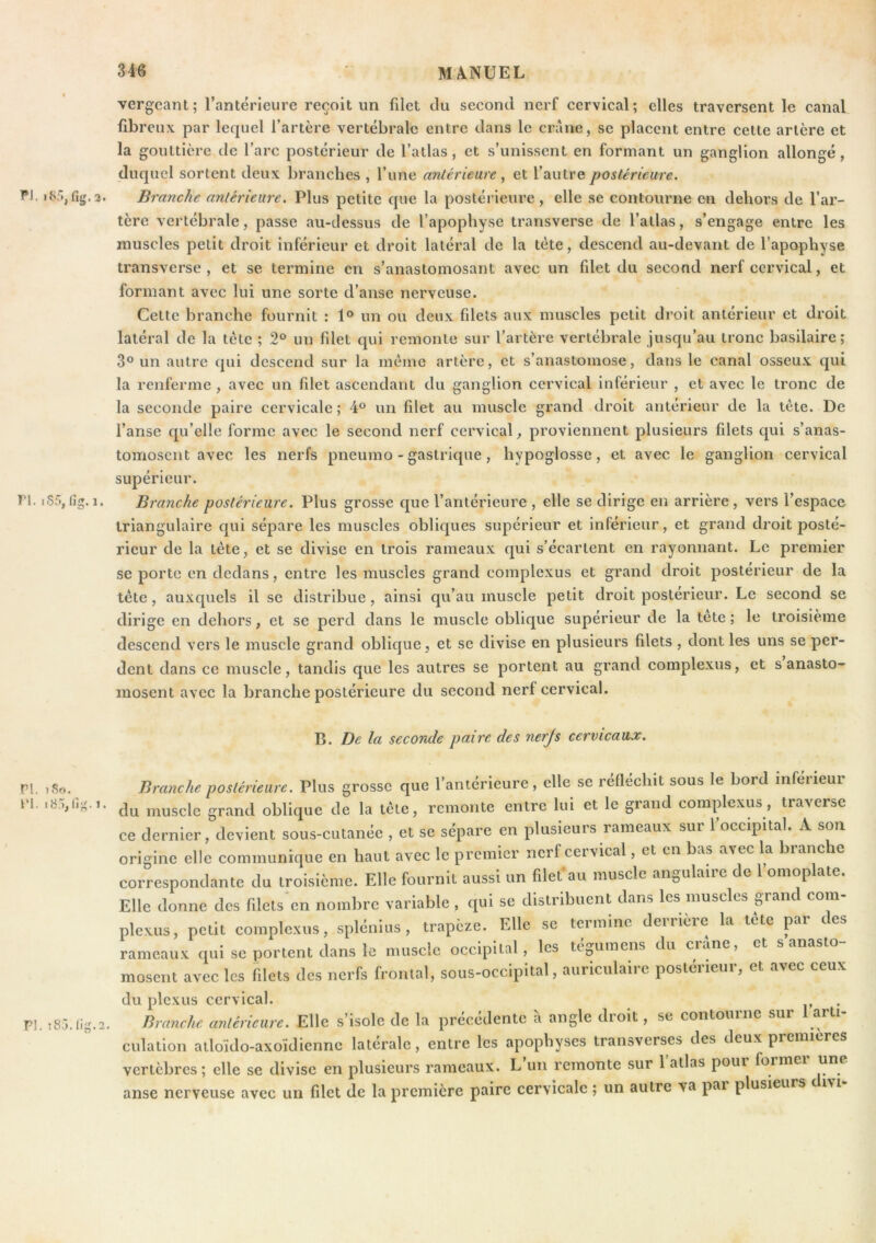 vergeant; Tantérieure reçoit un filet du second nerf cervical; elles traversent le canal fibreux par lequel l’artère vertébrale entre dans le crâne, se placent entre cette artère et la gouttière de l’arc postérieur de l’atlas, et s’unissent en formant un ganglion allongé, duquel sortent deux branches , l’une antérieure, et l’autre postérieure. ^*1. fig. 2. Branche antérieure. Plus petite que la postérieure , elle se contourne en dehors de l’ar- tère vertébrale, passe au-dessus de l’apophyse transverse de l’atlas, s’engage entre les muscles petit droit inférieur et droit latéral de la tète, descend au-devant de l’apophyse transverse, et se termine en s’anastomosant avec un filet du second nerf cervical, et formant avec lui une sorte d’anse nerveuse. Cette branche fournit : un ou deux filets aux muscles petit droit antérieur et droit latéral de la tête ; 2° un filet qui remonte sur l’artère vertébrale jusqu’au tronc basilaire; 3° un autre qui descend sur la mémo artère, et s’anastomose, dans le canal osseux qui la renferme , avec un filet ascendant du ganglion cervical inférieur , et avec le tronc de la seconde paire cervicale; 4° un filet au muscle grand droit antérieur de la tète. De l’anse qu’elle forme avec le second nerf cervical^ proviennent plusieurs filets qui s’anas- tomosent avec les nerfs pneumo - gastrique , hypoglosse, et avec le ganglion cervical supérieur. VI. iSr>, (îg. 1. Branche postérieure. Plus grosse que l’antérieure , elle se dirige en arrière , vers l’espace triangulaire qui sépare les muscles obliques supérieur et inférieur, et grand droit posté- rieur de la tête, et se divise en trois rameaux qui s’écartent en rayonnant. Le premier se porte en dedans, entre les muscles grand complexus et grand droit postérieur de la tête, auxquels il se distribue, ainsi qu’au muscle petit droit postérieur. Le second se dirige en dehors, et se perd dans le muscle oblique supérieur de la tete ; le troisième descend vers le muscle grand oblique , et se divise en plusieurs filets , dont les uns se per- dent dans ce muscle, tandis que les autres se portent au grand complexus, et s anasto- mosent avec la branche postérieure du second nerf cervical. B. De la seconde paire des nerjs cervicaux. ri. 7S0. VI. P!. !8.5.(ig.2. Branche postérieure. Plus grosse que l’antérieure, elle se réfléchit sous le bord inferieur du muscle grand oblique de la tête, remonte entre lui et le grand complexus, traverse ce dernier, devient sous-cutanée , et se sépare en plusieurs rameaux sur 1 occipital. A son origine elle communique en haut avec le premier nerf ceivical, et en bas avec la blanche correspondante du troisième. Elle fournit aussi un filet au muscle angulaiie de 1 omoplate. Elle donne des filets'en nombre variable . qui se distribuent dans les muscles grand coin- plexus, petit complexus, splénius, trapèze. Elle se termine derrière la tête j3ar des rameaux qui se portent dans le muscle occipital, les tégumeiis du crâne, et s anasto- mosent avec les filets des nerfs frontal, sous-occipital, auriculaire postérieur, et avec ceux du plexus cervical. Branche antérieure. Elle s’isole de la précédente a angle dioit, se contourne sur art culation atloïdo-axoïdiennc latérale, entre les apophyses transverses des deux premières vertèbres; elle se divise en plusieurs rameaux. L un remonte sur 1 atlas poui foimei une anse nerveuse avec un filet de la première paire cervicale ; un autre va pai plusieurs c ivi