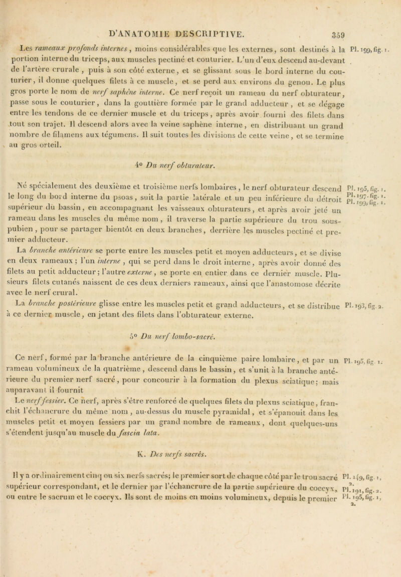 Les rameaux profonds internes ^ moins considéral)lcs cjue les externes, sont destinés à la PI. i99,fig. portion interne du triceps, aux muscles pectine et couturier. L’un d’eux descend au-devant de 1 artère crurale , puis a son cote externe, et se glissant sous le bord interne du cou- turier, il donne quelques fdets à ce muscle, et se perd aux environs du genou. Le plus gros porte le nom de nerf saphène inlerne. Ce neif reçoit un rameau du nerf obturateur, passe sous le couturier, dans la gouttière formée par le grand adducteur, et se dégage entre les tendons de ce dernier muscle et du triceps, après avoir fourni des fdets dans .tout son trajet. Il descend alors avec la veine saphène interne, en distribuant un grand nombre de fdamens aux tégurnens. H suit toutes les divisions de cette veine, et se termine au gros orteil. 4° Du nerf obluraleiir. Né spécialement des deuxième et troisième nerfs lombaires , le nerf obturateur descend le long du bord interne du psoas, suit la partie latérale et un peu inférieure du détroit supérieur dû bassin, en accompagnant les vaisseaux obturateurs, et après avoir jeté un rameau dans les muscles du meme nom , il traverse la partie supérieure du trou sous- pubien , pour se partager bientôt en deux branches, derrière les muscles pectiné et pre- mier adducteur. P .i97.fig.. '99; Cg- « La branche antérieure se porte entre les muscles petit et moyen adducteurs, et se divise en deux rameaux ; l’un interne , qui se perd dans le droit interne, après avoir donné des filets au petit adducteur; V iiulre externe, se porte en entier dans ce dernieV muscle. Plu- sieurs filets cutanés naissent de ces deux derniers rameaux, ainsi que l’anastomose décrite avec le nerf crural. La branche postérieure glisse entre les muscles petit et grand adducteurs, et se distribue Pl-'93,fig.a. à ce dernier muscle, en jetant des filets dans l’obturateur externe. 5° Du nerf lombo-saeré. Ce nerf, formé par la branche antérieure de la cinquième paire lombaire, et par un Pl.up,Gg i rameau volumineux de la quatrième , descend dans le bassin, et s’unit à la branche anté- rieure du premier nerf sacré, pour concourir à la formation du plexus sciatique; mais auparavant il fournit Le nerf fessier. Ce nerf, après s’ètre renforcé de quelques filets du plexus sciatique, fran- chit l’échancrurc du même nom , au-dessus du muscle pyramidal, et s’épanouit dans les muscles petit et moyen fessiers par un grand nombre de rameaux , dont quelques-uns s’étendent jusqu’au muscle dulata. K. Des nerfs sacrés. Il y a ordinairement cinq ou six nerfs sacrés; le premier sort de chaque côté par le trou sacré Ph '49, Gg », supérieur correspondant, et le dernier par l’échancrure de la partie supérieure du coccyx, Pl^jgi fig x ou entre le sacrum et le coccyx. Ils sont de moins en moins volumineux, depuis le premier '95,Gg. i,