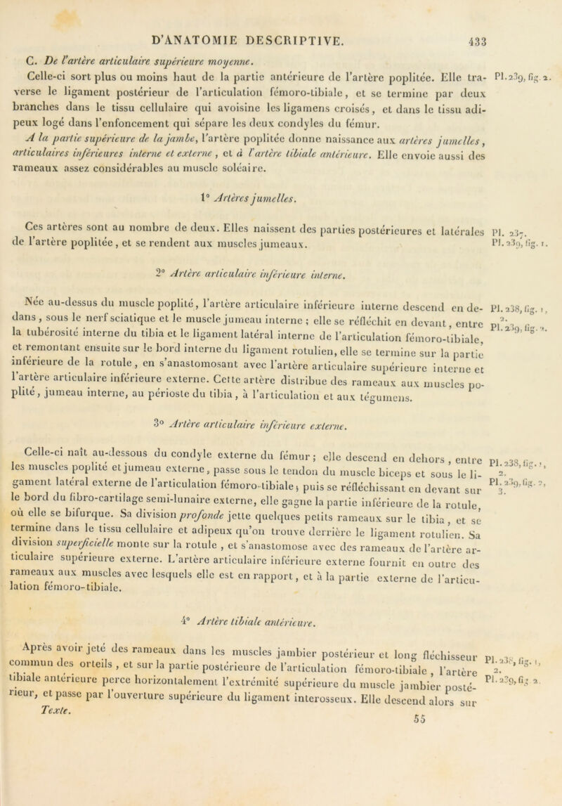 G. De r artère articulaire supérieure moyenne. Celle-ci sort plus ou moins haut de la partie antérieure de Tartèrc poplitée. Elle tra- Pl-2% fig. a. verse le ligament postérieur de l’articulation fémoro-tibiale, et se termine par deux branches dans le tissu cellulaire qui avoisine les ligamens croisés, et dans le tissu adi- peux logé dans l’enfoncement qui sépare les deux condyles du fémur. A la partie supérieure de la jamhc^ Partcre poplitée donne naissance aux artères jumelles y articulaires inférieures interne et externe , et à l'artère tibiale antérieure. Elle envoie aussi des rameaux assez considérables au muscle soléaire. 1° Artères jumelles. Ces artères sont au nombre de deux. Elles naissent des parties postérieures et latérales PI. 237. de 1 artère poplitée , et se rendent aux muscles jumeaux. <ig. i. 2® Artère articulaire inférieure interne. Née au-dessus du muscle poplité, l’artère articulaire inférieure interne descend en de- P1.238,(ig. ,, dans, sous le nerf sciatique et le muscle jumeau interne ; elle se réfléchit en devant, entre Z / la tubérosité interne du tibia et le ligament latéral interne de l’articulation fémoro-übiale ' et remontant ensuite sur le bord interne du ligament rotulien, elle se termine sur la partie inférieure de la rotule, en s’anastomosant avec l’artère articulaire supérieure interne et l’artère articulaire inférieure externe. Cette artère distribue des rameaux aux muscles po- plité, jumeau interne, au périoste du tibia, à l’articulation et aux tégumens. 3® Artère articulaire inférieure externe. Celle-ci liait au-dessous du comlyle externe du fdmur; elle descend en dehors , entre ni r» les muscles poplité et jumeau externe, passe sous le tendon du muscle biceps et sous le li- ' ’ gainent latéral externe de l’articulation fémoro-tibiale i puis se rénécbissaiu en devant sur le bord du fibro-cartilage semi-lunaire externe, elle gagne la partie inférieure de la rotule où elle se bifurque. Sa division ;iro/on* jette quelques petits rameaux sur le tibia, et sé termine dans le tissu cellulaire et adipeux qu’on trouve derrière le ligament rotulien. Sa division superpUlh monte sur la rotule , et s’anastomose avec des rameaux de l’artère ar- ticulaire supérieure externe. L’artère articulaire inférieure externe fournit en outre des rameaux aux muscles avec lesquels elle est en rapport, et à la partie externe de l’articu- lation femoro-tibiale. PI. 23f),lig. ?, 3. 4 Artère tibiale antérieure. 55