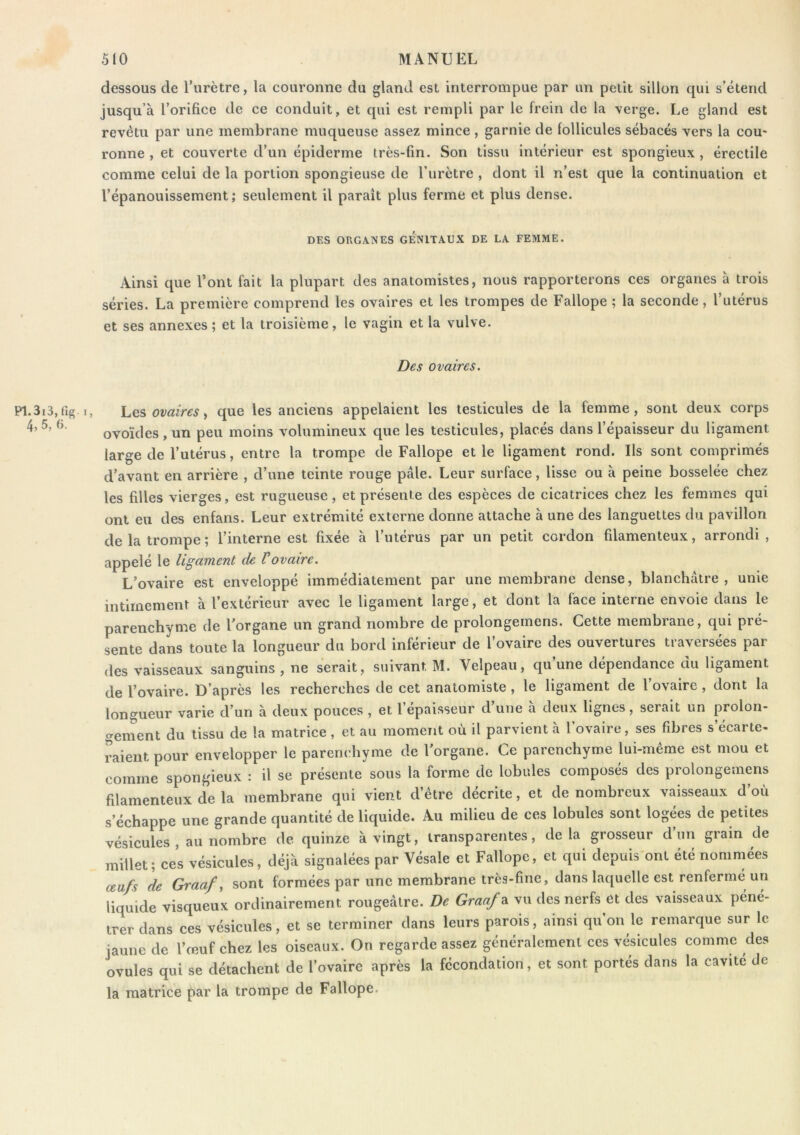 dessous de Tiirètre, la couronne du gland est interrompue par un petit sillon qui s’étend jusqu’à l’orifice de ce conduit, et qui est rempli par le frein de la verge. Le gland est revêtu par une membrane muqueuse assez mince , garnie de follicules sébacés vers la cou- ronne , et couverte d’un épiderme très-fin. Son tissu intérieur est spongieux , érectile comme celui de la portion spongieuse de l’urètre , dont il n’est que la continuation et l’épanouissement; seulement il paraît plus ferme et plus dense. DES ORGANES GENITAUX DE LA FEMME. Ainsi que l’ont fait la plupart des anatomistes, nous rapporterons ces organes à trois séries. La première comprend les ovaires et les trompes de Fallope ; la seconde, l’utérus et ses annexes ; et la troisième, le vagin et la vulve. Des ovaires. PI. 3i3, fig I, 4, 5, 6. Les ovaires, que les anciens appelaient les testicules de la femme, sont deux corps ovoïdes, un peu moins volumineux que les testicules, placés dans l’épaisseur du ligament large de l’utérus, entre la trompe de Fallope et le ligament rond. Ils sont comprimés d’avant en arrière , d’une teinte rouge pâle. Leur surface, lisse ou à peine bosselée chez les filles vierges, est rugueuse, et présente des espèces de cicatrices chez les femmes qui ont eu des enfans. Leur extrémité externe donne attache à une des languettes du pavillon de la trompe; l’interne est fixée à l’utérus par un petit cordon filamenteux, arrondi, appelé le ligament de Vovaire. L’ovaire est enveloppé immédiatement par une membrane dense, blanchâtre, unie intimement à l’extérieur avec le ligament large, et dont la face interne envoie dans le parenchyme de l’organe un grand nombre de prolongemens. Cette membrane, qui pré- sente dans toute la longueur du bord inférieur de l’ovaire des ouvertures traversées par des vaisseaux sanguins, ne serait, suivant M. Velpeau, qu’une dépendance du ligament de l’ovaire. D’après les recherches de cet anatomiste , le ligament de l’ovaire, dont la longueur varie d’un à deux pouces , et l’épaisseur d’une à deux lignes, serait un prolon- genient du tissu de la matrice , et au moment où il parvient à l’ovaire, ses fibres s’écarte- raient pour envelopper le parenchyme de l'organe. Ce parenchyme lui-même est mou et comme spongieux : il se présente sous la forme de lobules composés des prolongemens filamenteux de la membrane qui vient d’être décrite, et de nombreux vaisseaux d’où s’échappe une grande quantité de liquide. Au milieu de ces lobules sont logées de petites vésicules, au nombre de quinze à vingt, transparentes, delà grosseur d’un grain de millet; ces vésicules, déjà signalées par Vésale et Fallope, et qui depuis'ont été nommées œufs de Graaf, sont formées par une membrane très-fine, dans laquelle est renfermé un liquide visqueux ordinairement rougeâtre. De Graaf^ vu des nerfs et des vaisseaux péné- trer dans ces vésicules, et se terminer dans leurs parois, ainsi qu’on le remarque sur le jaune de l’œuf chez les oiseaux. On regarde assez généralement ces vésicules comme des ovules qui se détachent de l’ovaire après la fécondation, et sont portés dans la cavité de la matrice par la trompe de Fallope.