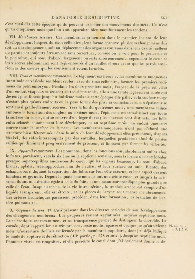 c est aussi dès cette époque qu’ils peuvent exécuter des mouvemens distincts. Ce n’est qu’au cinquième mois que l’on voit apparaître bien manifestement les tendons. VII. Membranes séreuses. Ces membranes présentent dans le premier instant de leur développement l’aspect du tissu cellulaire ; leur forme éprouve plusieurs changemens dus soit au développement, soit au déplacement des organes contenus dans leur cavité : celle-ci ne parait pas toujours être un sac sans ouverture, comme on le voit pour le péricarde et le péritoine, qui sont d’abord largement ouverts antérieurement: cependant le cœur et les viscères abdominaux sont déjà entourés d’un feuillet séreux avant que les parois anté- rieures des cavités qui les contiennent soient fermées. VIII. Peau et membranes muqueuses. Le tégument extérieur et les membranes muqueuses intestinale et vesicale semblent seules, avec du tissu cellulaire, former les premiers rudi- mens du petit embryon. Pendant les deux premiers mojs, l’aspect de la peau est celui d’un enduit visqueux et tenace; au troisième mois, elle a une teinte légèrement rosée qui devient plus foncée jusqu’au huitième mois : à cette époque elle pâlit, et la couleur rouge n’existe plus qu’aux endroits où la peau forme des plis ; sa consistance et son épaisseur se sont aussi graduellement accrues. Vers la fm du quatrième mois, une membrane mince annonce la formation des ongles; au sixième mois, l’épiderme est très-distinct sur toute la surface du corps, qui se couvre d’un léger duvet; les cheveux sont distincts, les folli- cules sébacés commencent à* se développer, et au septième mois, un enduit onctueux couvre toute la surface de la peau. Les membranes muqueuses n’ont pas d’abord une structure bien déterminée : dans la suite de leur développement elles présentent, d’après Meckel, des rides interrompues par des entailles, lesquelles produisent ainsi de petites saillies qui diminuent progressivement de grosseur, et finissent par Ibrmcr les villosités. IX. Appareil respiratoire. Les poumons, dont les fonctions sont absolument nulles chez le fœ.tus, paraissent, vers la sixième ou la septième semaine, sous la forme de deux lobules presque imperceptibles au-dessous du cœur, qui les dépasse beaucoup. Ils sont d’abord blancs, aplatis, très-rapprochés l’un de l’autre, et leur surface est unie. Bientôt des échancrures indiquent la séparation des lobes sur leur côté externe, et leur aspect devient lobuleux et granulé. Depuis le quatrième mois ils ont une teinte rosée, et jusqu’à la nais- sance ils ont une densité égale à celle du foie, et une pesanteur spécifique plus grande que celle de l’eau. Jusqu'au terme de la vie intra-utérine, la trachée artère est remplie d’un liquide transparent; elle est étroite, et les pièces du larynx sont encore membraneuses. Les artères bronchiques paraissent précéder, dans leur formation, les branches de l’ar- tère pulmonaire. X. Organes des sens. 1°. \Jceil présente dans les diverses périodes de son développemeni des changemens nombreux. Les paupières restent agglutinées jusqu’au septième mois. La sclérotique est très-mince, et sa transparence permet de distinguer la choroïde. Lo cornée , dont l’apparition est très-précoce, reste molle , épaisse et opaque jusqu’au sixième mois. L’ouverture de l’iris est fermée par la membrane pupillaire, dont j’ai déjà indique le mode de rupture et de rétraction ( IIP partie^ p. 278 et suiv. ). Jusqu au septième mois l’humeur vitrée est rougeâtre, et elle présente le canal dont j’ai également donné la de- PI. i42. fifi. 1,