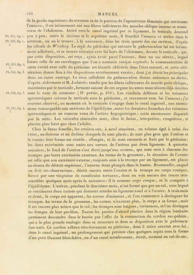 P1.337,ng.i P1.338, fig.i 2. PI. 353, fîg. 2 3. P1.334,fig.3 PI. 336, üg.3 P1.337,tîg. 4 5. de la partie supérieure du scrotum etde la portion de Taponévrose fémorale qui environne l’anneau j il est intimement uni aux fibres inférieures des muscles oblique interne et trans- verse de l’abdomen. Attiré vers le canal inguinal par ce ligament, le testicule descend . peu à peu; entre le sixième et le septième mois, il franchit l’anneau et arrive dans le . scrotum, où on le trouve, à la naissance, dans les trois quarts des cas environ, d’après les calculs de Wrisberg. Le repli du péritoine qui entoure le giihemaculum lui est intime- ment adhérent, et se trouve entraîné avec lui hors de l’abdomen , devant le testicule , qui, par cette disposition, est reçu , après avoir passé l’anneau, dans un sac séreux, lequel forme celle de ses enveloppes que l’on a nommée tunique vaginale^ la communication de cette cavité avec celle du péritoine est bientôt oblitérée dans l’état normal, et cette obli- • tération donne lieu à des dispositions extrêmement variées, dont j’ai décrit les principales dans un autre ouvrage. Le tissu cellulaire du gubernaculum donne naissance diW dartos, d’après Ackermann et M. Lobslein; tandis que les fibres inférieures du muscle petit oblique, entraînées par le testicule, forment autour de cet organe les anses musculaires déjà décrites . sous le nom de crémaster (II® partie, p. 169). Les conduits déférens et les vaisseaux spermatiques suivent le testicule sous le péritoine, et traversent avec lui l’anneau ; j’ai souvent observé, au moment où le testicule s’engage dans le canal inguinal, une anasto- . mose remarquable aux environs de l’épididyme , entre les dernières branches des vaisseaux spermatiques et un rameau venu de l’artère hypogastrique : cette anastomose disparaît par la suite. Les vésicules séminales sont, chez le fœtus, très-petites, rougeâtres , et placées plus haut que chez l’adulte. Chez le fœtus femelle, les ovaires ont, à neuf semaines, un volume égal à celui des reins, au-dessous et en dedans desquels ils sont placés; ils sont plus gros que l’utérus et la vessie; leur forme est ovoïde , allongée, et ils sont entourés et fixés par le péritoine; les deux extrémités sont unies aux cornes de l’utérus par deux ligamens. A quatorze semaines, le fond de l’utérus s’est élevé jusqu’aux ovaires, qui sont unis à chacune des trompes parleurs extrémités externes. Au terme de la grossesse, la situation de l’ovaire est telle que son extrémité externe, toujours unie à la trompe par un ligament, est placée au-dessus du détroit supérieur, l’interne étant plongée dans le bassin. Rosenmiiller, auquel on doit ces observations, décrit encore entre l’ovaire et la trompe un corps conique, formé par une vingtaine de canalicules tortueux, dont on voit encore des traces très- sensibles quelques mois après la naissance: il le nomme corps conique, et le compare à l’épididyme. L’utérus , pendant le deuxième mois , n’est formé que par un col, avec lequel se continuent deux cornes qui donnent attache au ligament rond et à l’ovaire. A trois mois et demi, le corps est apparent, les cornes diminuent , et l’on commence à distinguer les trompes. Au terme de la grossesse , les cornes n’existent plus, le corps a sa forme , mais il est encore plus mince que le col; les trompes sont longues , tortueuses, et l’on distingue les franges de leur pavillon. Toutes les parties d’abord placées dans la région lombaire paraissent descendre dans le bassin par l’effet de la contraction du cordon sus-pubien , (jui a la plus grande analogie dans sa structure et dans sa disposition avec le gubemacu- lumlestis. Ce cordon adhère très-fortement au péritoine, dont il attire souvent avec lui , dans le canal inguinal, un prolongement qui persiste chez quelques sujets sous la forme d un petit filament blanchâtre , ou d’un canal membraneux , étroit, terminé en cul-de-sac ,