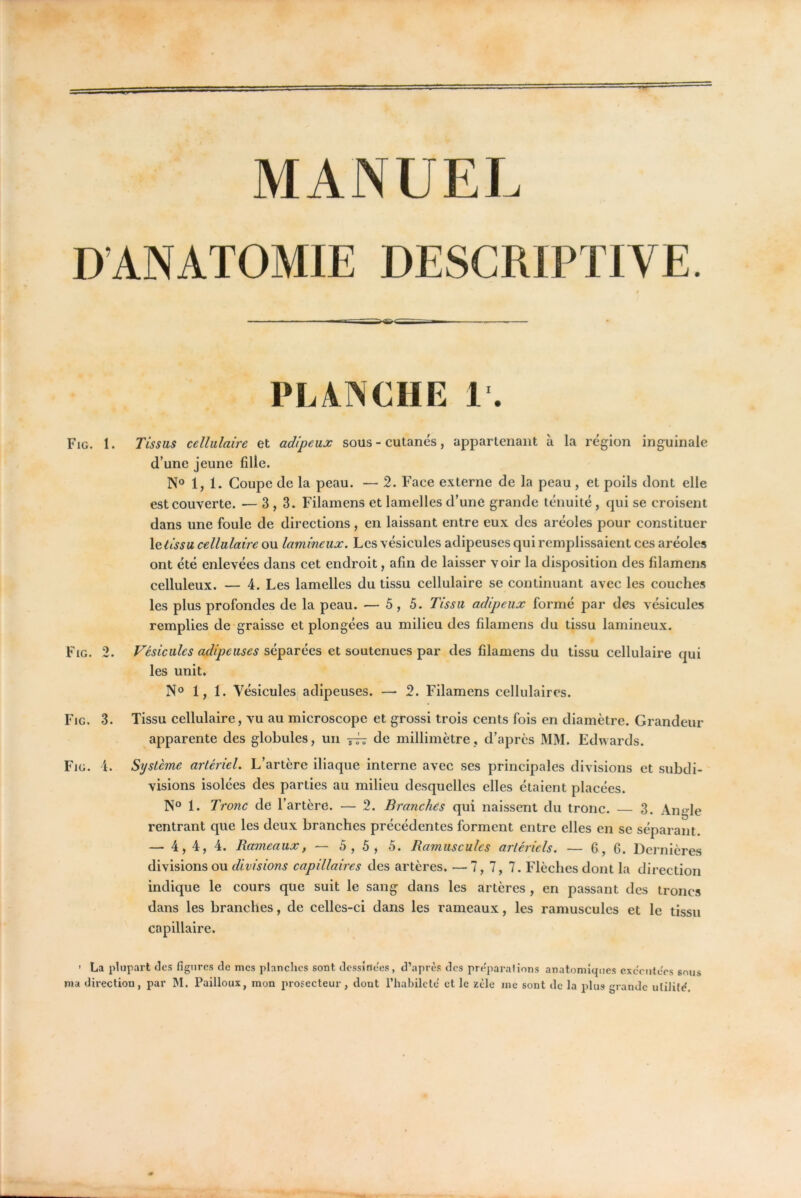 DANATOMIE DESCRIPTIVE. PLANCHE 1'. Fig. 1. Fig. •T Fig. 3. Fig. i. Tissus cellulaire et adipeux sous - cutanés, appartenant à la région inguinale d’une jeune fille. N° 1, 1. Coupe de la peau. — 2. Face externe de la peau, et poils dont elle est couverte. — 3,3. Filamens et lamelles d’une grande ténuité, qui se croisent dans une foule de directions, en laissant entre eux des aréoles pour constituer \etissu cellulaire ou lamineux. Les vésicules adipeuses qui remplissaient ces aréoles ont été enlevées dans cet endroit, afin de laisser voir la disposition des filamens celluleux. — 4. Les lamelles du tissu cellulaire se continuant avec les couches les plus profondes de la peau. — 5,5. Tissu adipeux formé par des vésicules remplies de-graisse et plongées au milieu des filamens du tissu lamineux. Vésicules adipeuses séparées et soutenues par des filamens du tissu cellulaire qui les unit. N° 1, 1. Vésicules adipeuses. — 2. Filamens cellulaires. Tissu cellulaire, vu au microscope et grossi trois cents fois en diamètre. Grandeur apparente des globules, un 7^ de millimètre, d’après MM. Edwards. Système artériel. L’artère iliaque interne avec ses principales divisions et subdi- visions isolées des parties au milieu desquelles elles étaient placées. 1. Tronc de l’artère. — 2. Branches qui naissent du tronc. 3. Angle rentrant que les deux branches précédentes forment entre elles en se séparant. — 4, 4, 4. Rameaux, — 5,5, 5. Ramusculcs artériels. — 6,6. Dernières divisions ou divisions capillaires des artères. —7, 7, 7. Flèches dont la direction indique le cours que suit le sang dans les artères , en passant des troncs dans les branches, de celles-ci dans les rameaux, les ramuscules et le tissu capillaire. ’ La plupart des figures de mes planches sont dessîrtees, d’après des preparalions anatomiques cxccntèrs sous ma direction, par IM. Paillons, mon prosecteur, dont riiabilcte' et le zèle me sont de la plus grande utilité.