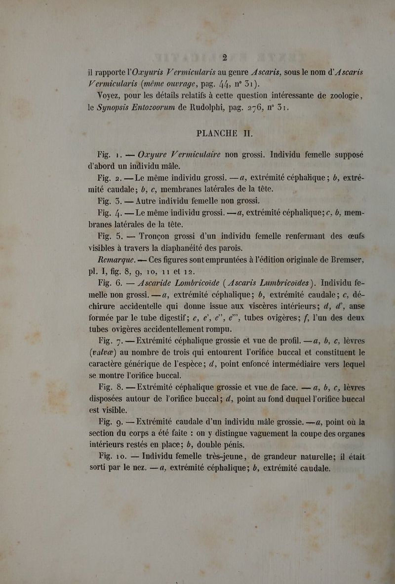 il rapporte l'Oxyuris Vermicularis au genre Ascaris, sous le nom d’Ascaris V'ermicularis (même ouvrage, pag. 44, n° 31). Voyez, pour les détails relatifs à cette question intéressante de zoologie, le Synopsis Entozoorum de Rudolphi, pag. 276, n° 31. PLANCHE IT. Fig. 1. — Oxyure Vermiculaire non grossi. Individu femelle supposé d'abord un individu mâle. | Fig. 2. — Le même individu grossi. — 4, extrémité céphalique ; b, extre- mite caudale; b, c, membranes latérales de la tête. Fig. 3. — Autre individu femelle non grossi. Fig. 4. — Le même individu grossi. — 4, extrémité céphalique; c, b, mem- branes latérales de la tête. Fig. 5. — Troncon grossi d’un individu femelle renfermant des œufs visibles à travers la diaphanéité des parois. Remarque. — Ces figures sont empruntées à l'édition originale de Bremser, pl B'le60;frosvrtiet ie Fig. 6. — Ascaride Lombricoide ( Ascaris Lumbricoides ). Individu fe- melle non grossi. — a, extrémité céphalique; 6, extrémité caudale; c, de- chirure accidentelle qui donne issue aux viscères intérieurs; d, d’, anse formée par le tube digestif; e, e’, e”, e”’, tubes ovigères; f, l’un des deux tubes ovigères accidentellement rompu. Fig. 7. — Extremite céphalique grossie et vue de profil. —a, b, c, lèvres (valvæ) au nombre de trois qui entourent l’orifice buccal et constituent le caractère générique de l'espèce; d, point enfoncé intermédiaire vers lequel se montre l’orifice buccal. Fig. 8. — Extrémité céphalique grossie et vue de face. — a, b, c, lèvres disposées autour de l'orifice buccal; d, point au fond duquel l'orifice buccal est visible. | Fig. 9. — Extremite caudale d’un individu mâle grossie. —a, point où la section du corps a été faite : on y distingue vaguement la coupe des organes intérieurs restés en place; b, double pénis. Fig. 10. — Individu femelle très-jeune, de grandeur naturelle; il était sorti par le nez. — 4, extrémité céphalique; b, extrémité caudale,